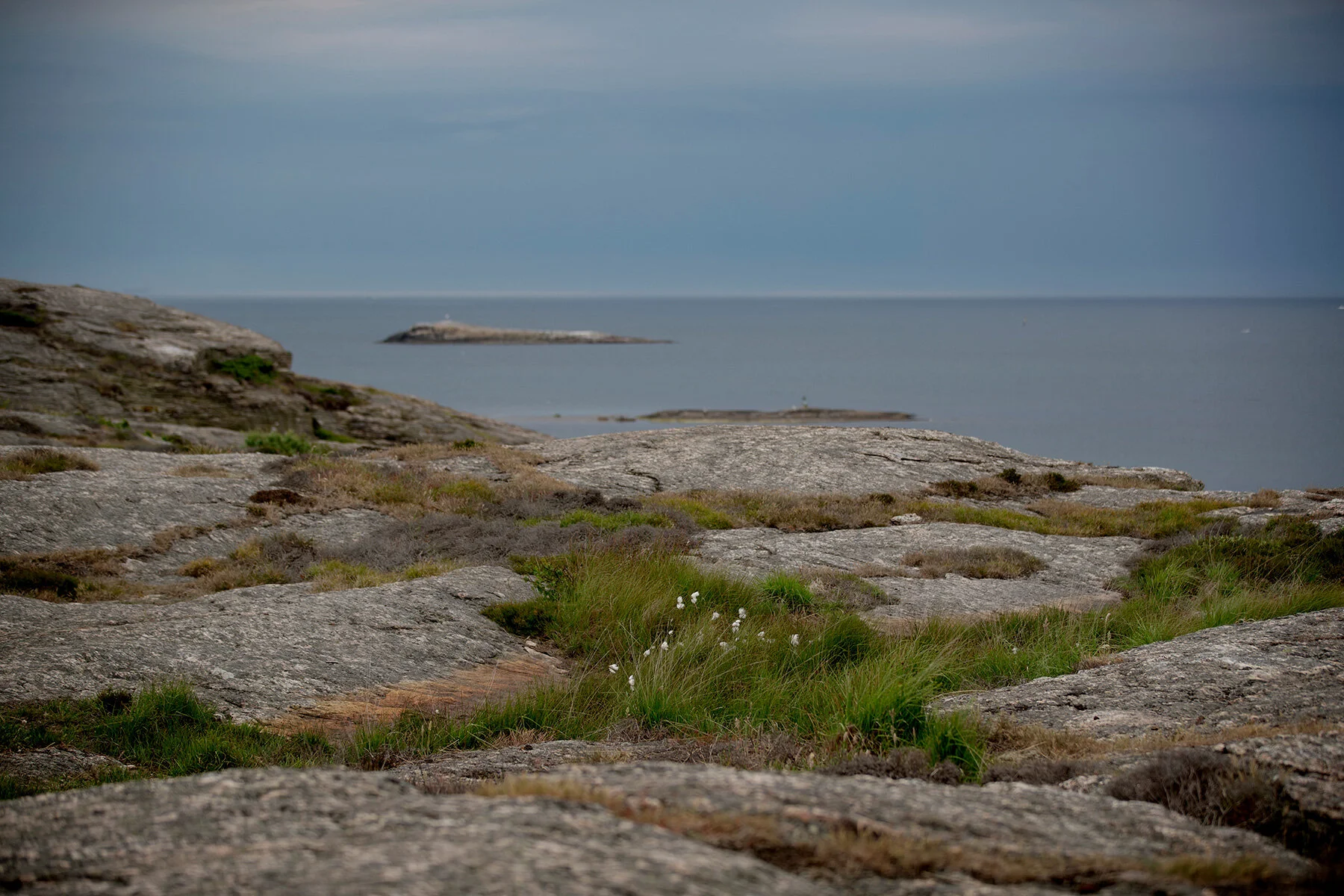 blogg-210620biskopshagen22.jpg