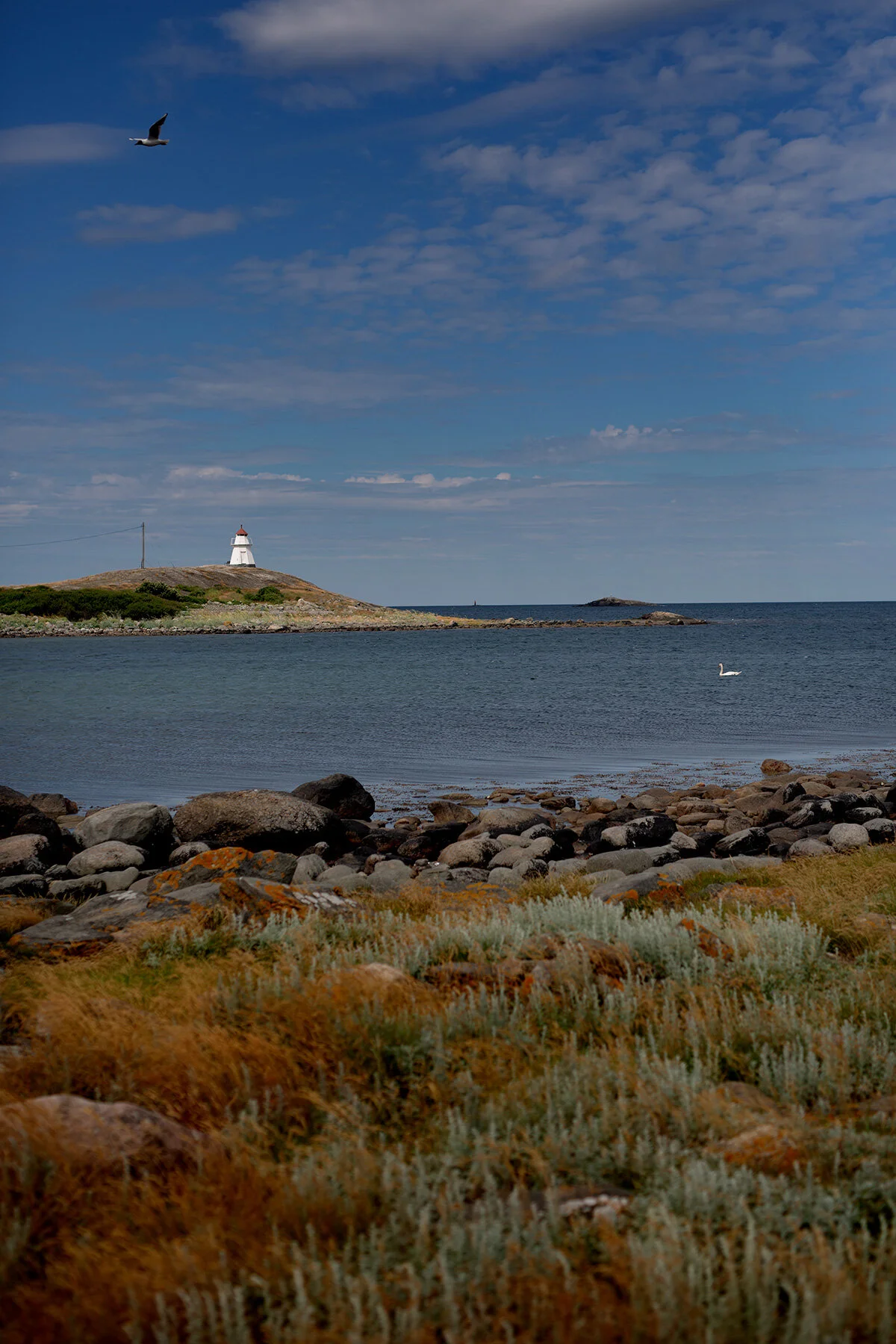 blogg-210701fyrenstrandkal3.jpg