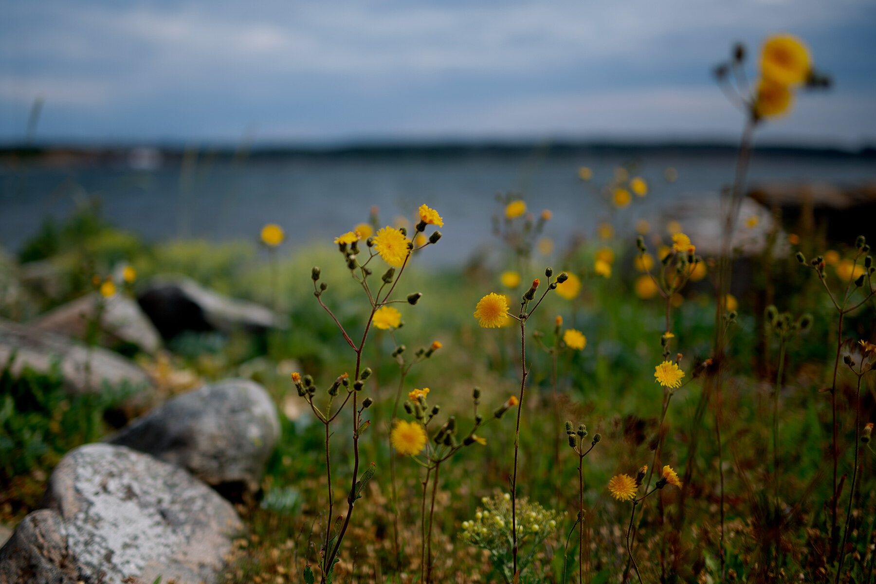 blogg-210701fyrenstrandkal4.jpg
