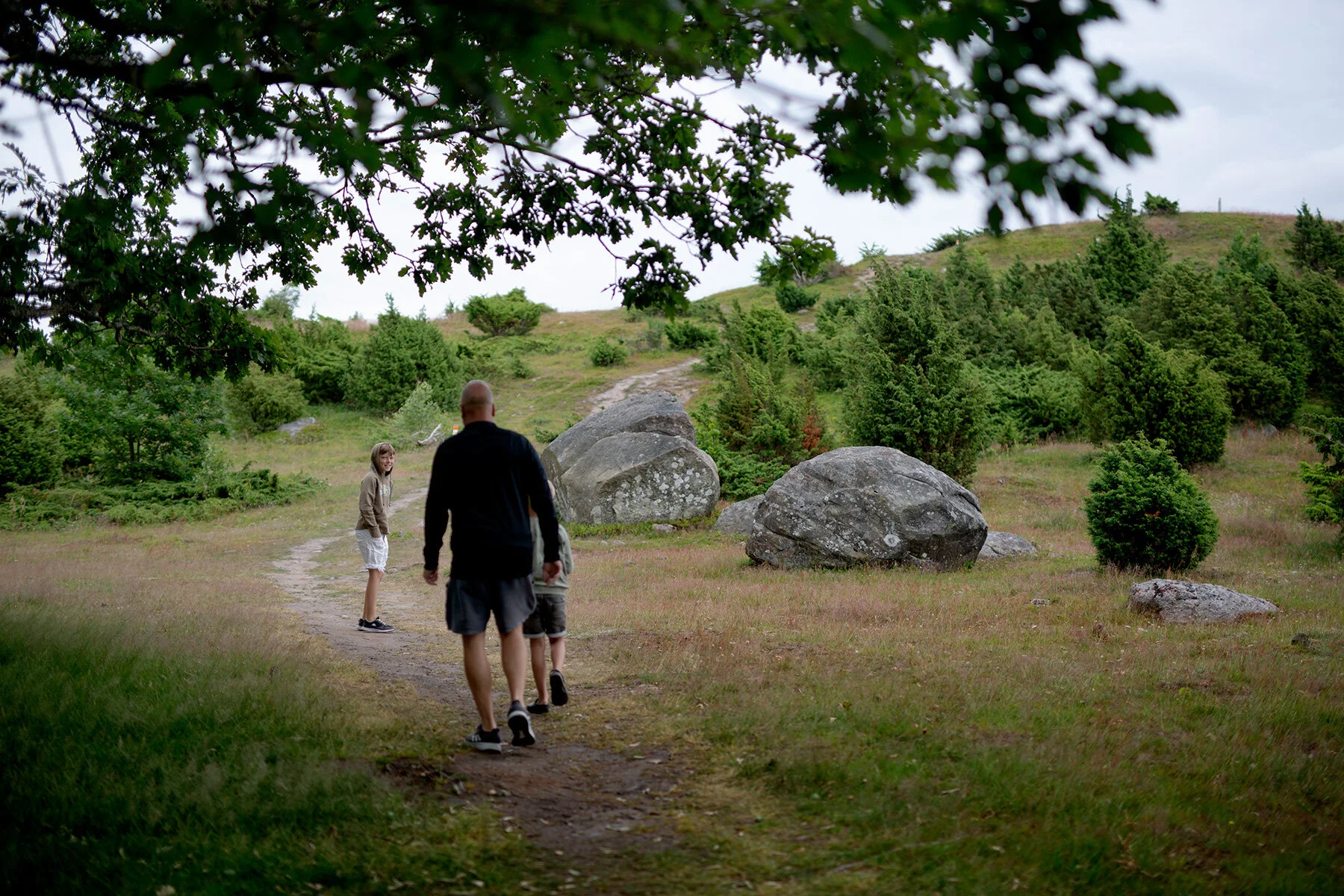 blogg-210701fjarasbracka1.jpg
