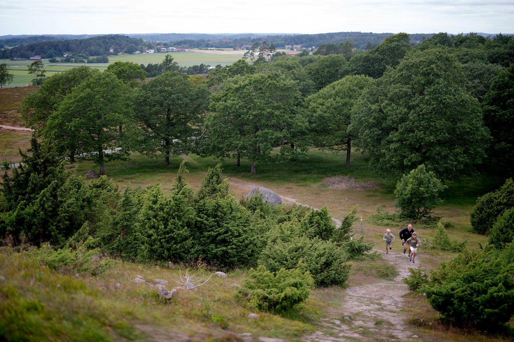 blogg-210701fjarasbracka3.jpg
