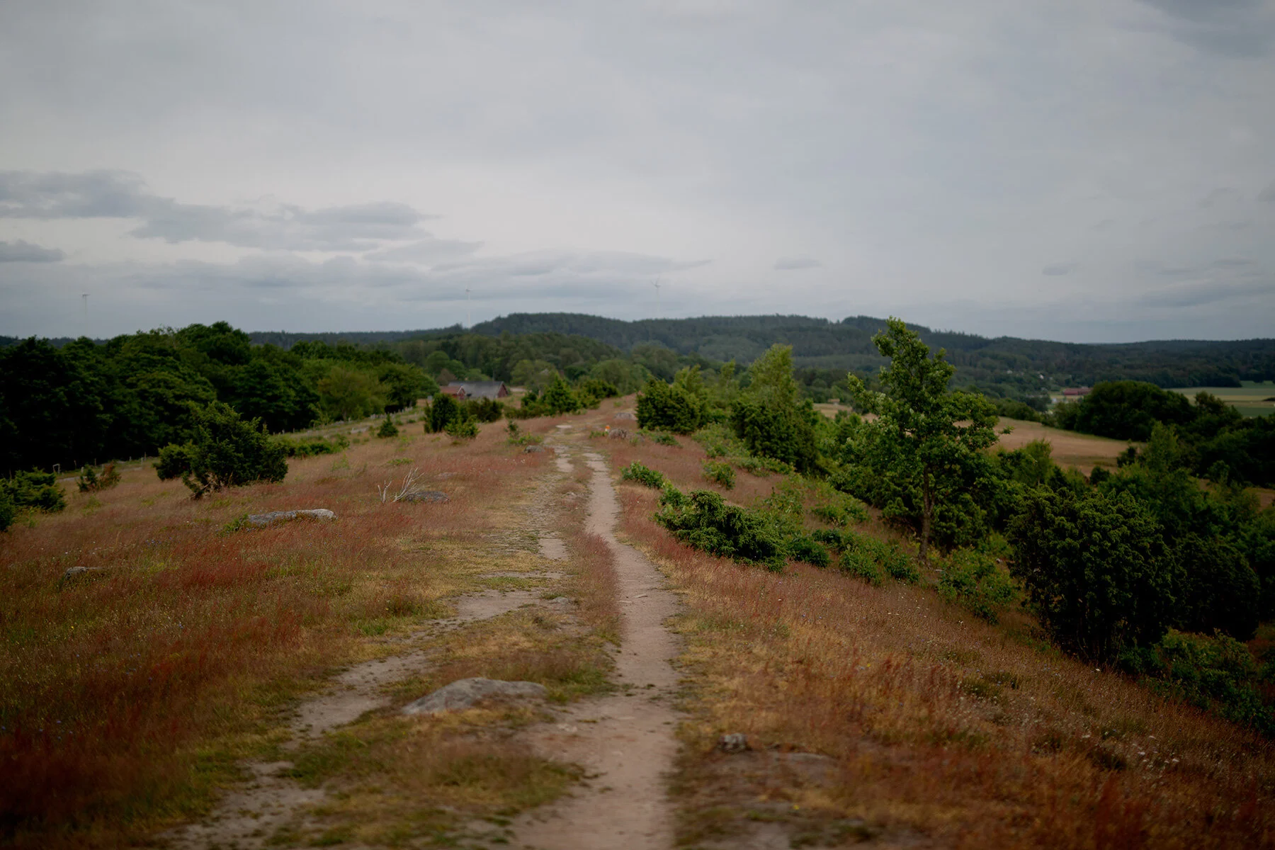 blogg-210701fjarasbracka7.jpg