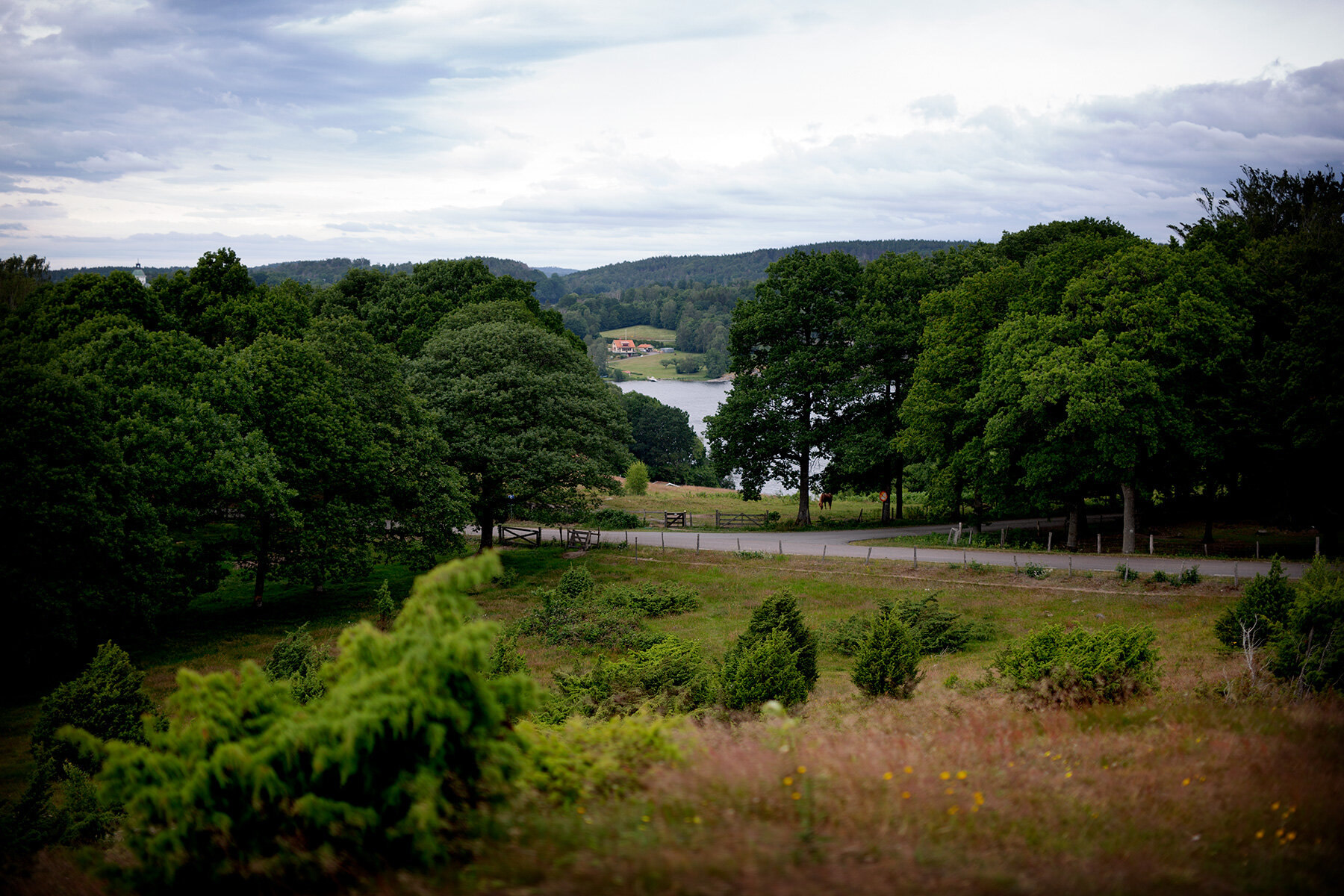 blogg-210701fjarasbracka13.jpg