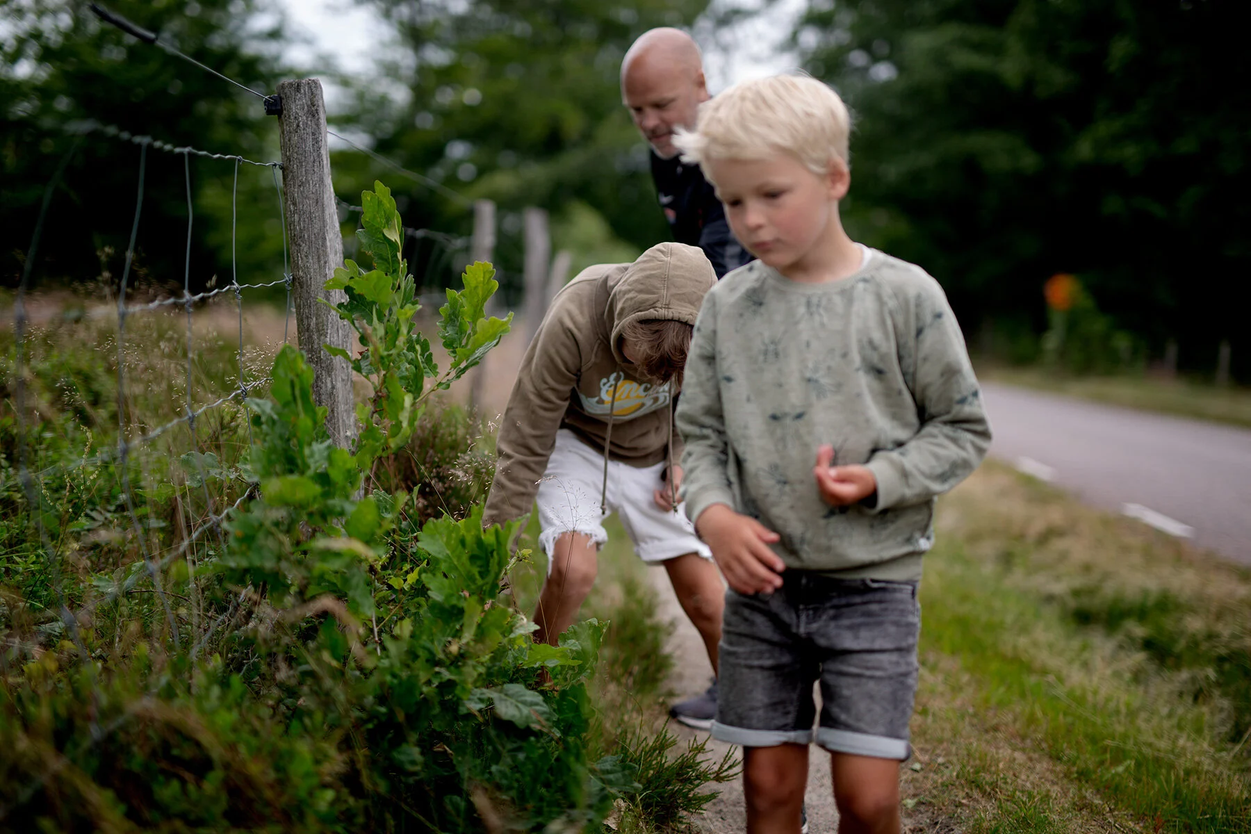 blogg-210701fjarasbracka17.jpg