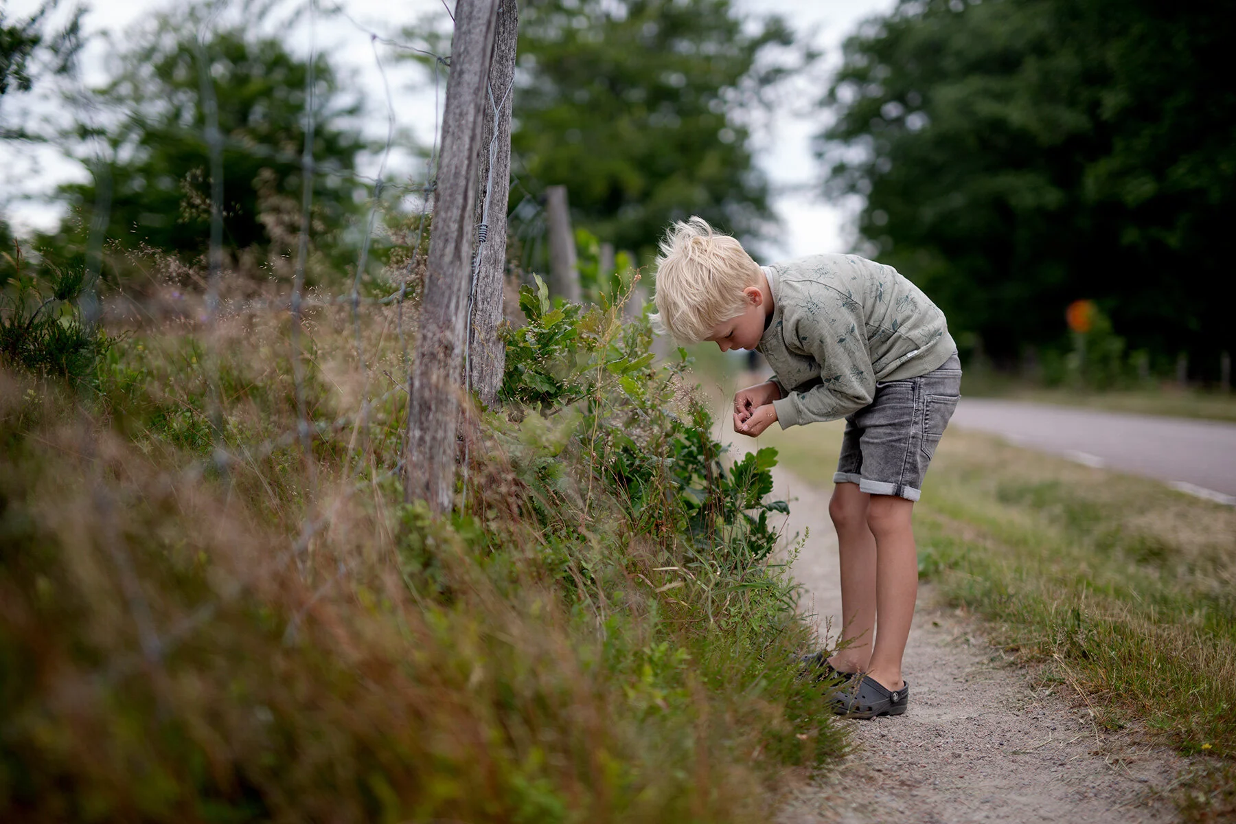 blogg-210701fjarasbracka19.jpg