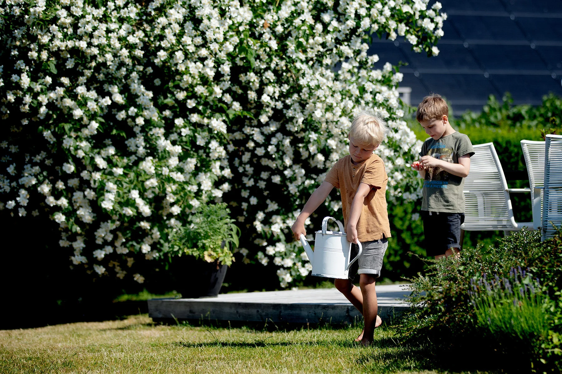 blogg-210702tradgarden6.jpg