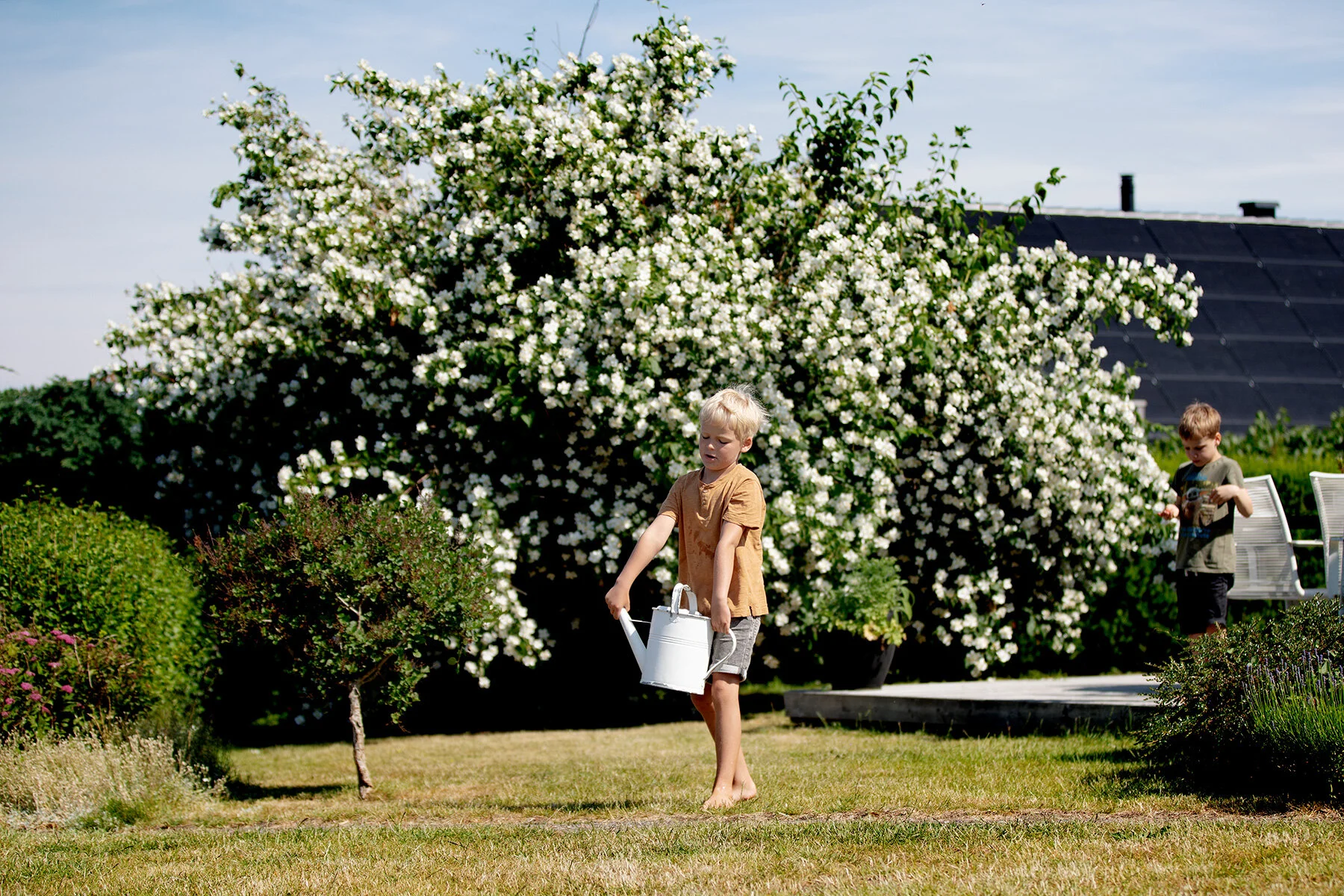 blogg-210702tradgarden8.jpg