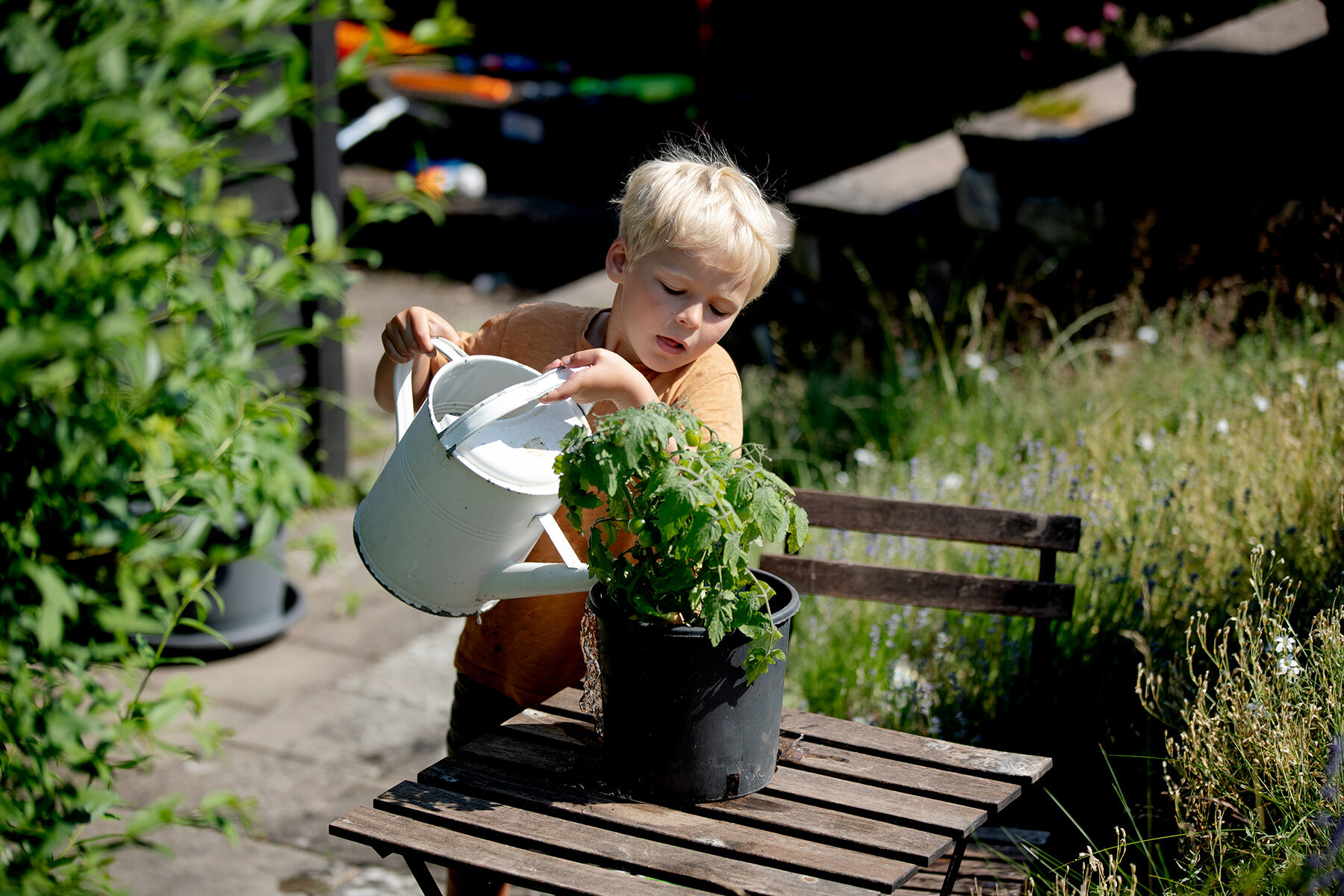 blogg-210702tradgarden10.jpg