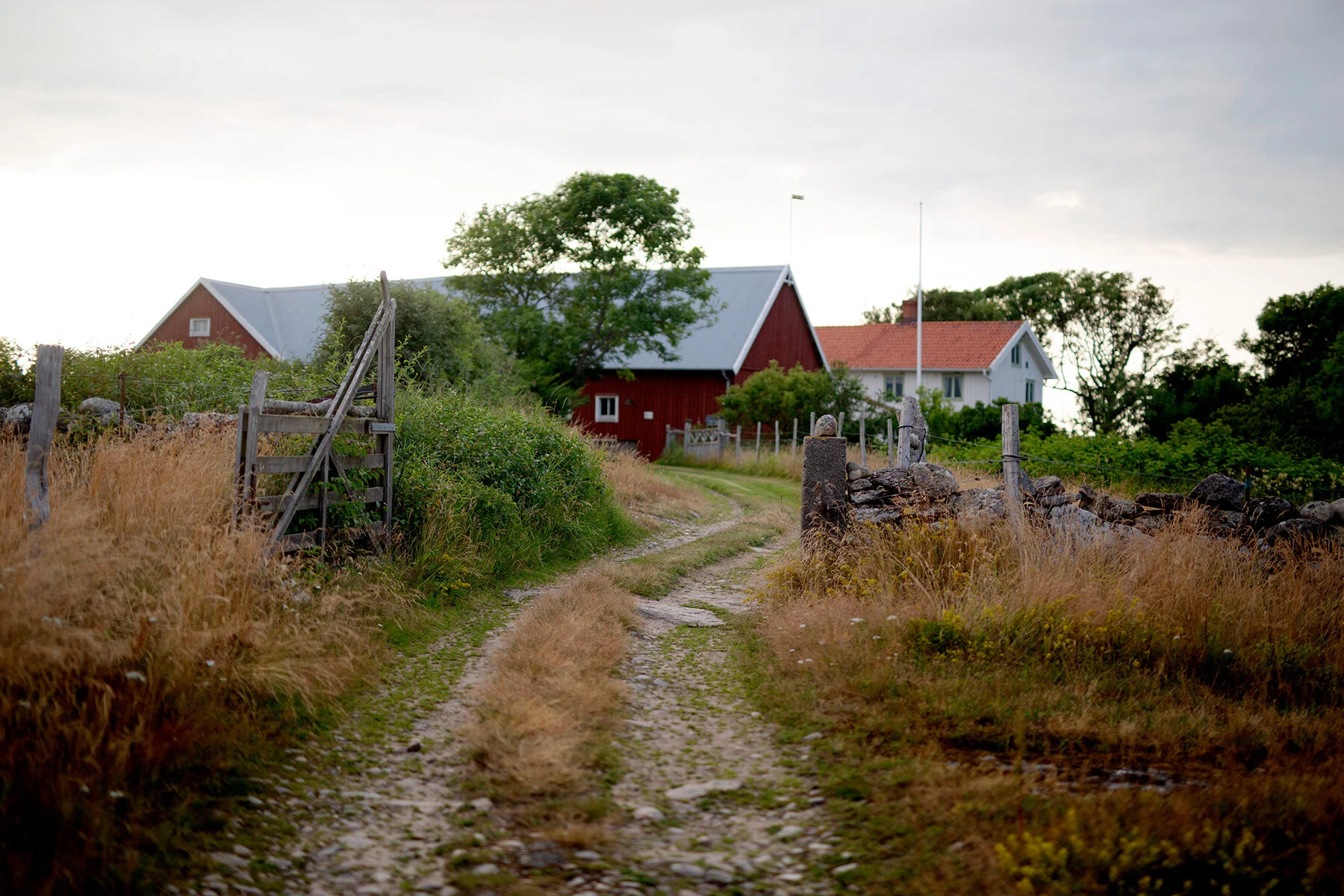 blogg-210712vendelso35.jpg