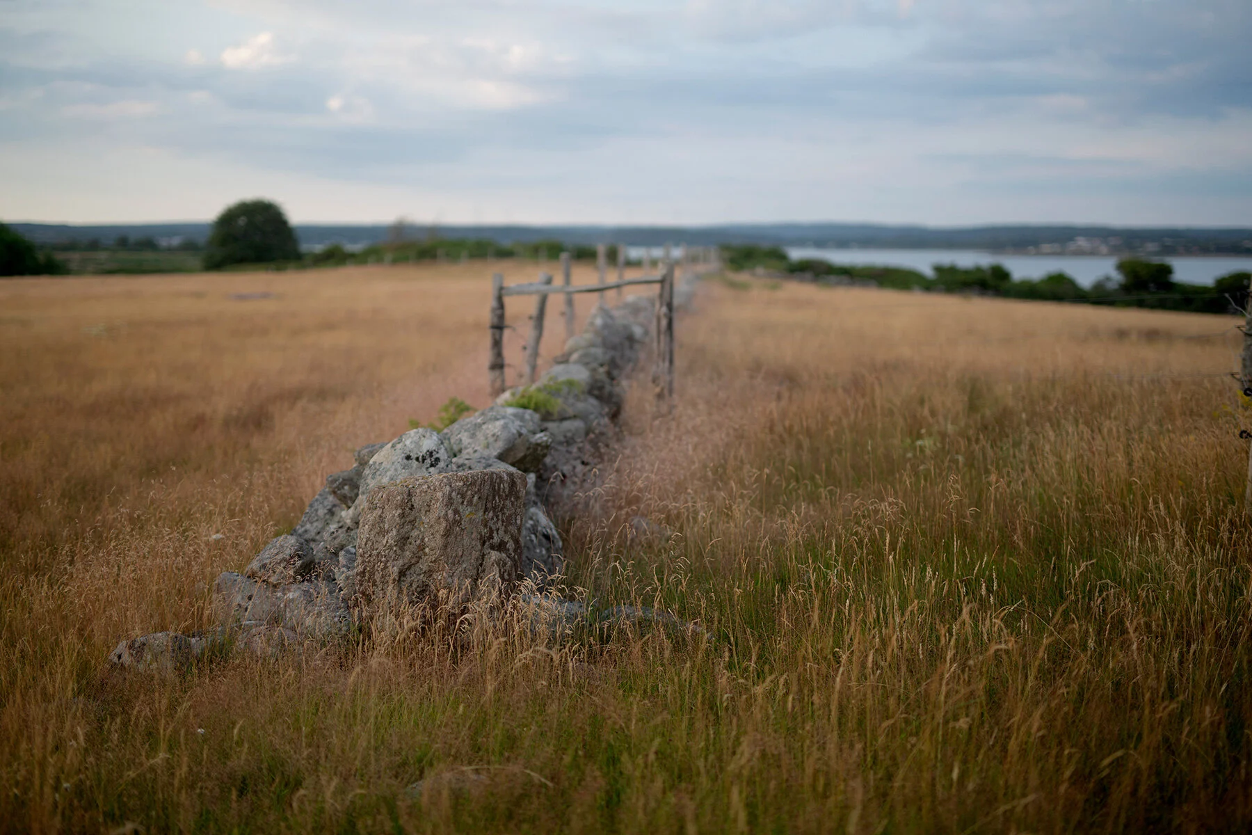 blogg-210712vendelso49.jpg
