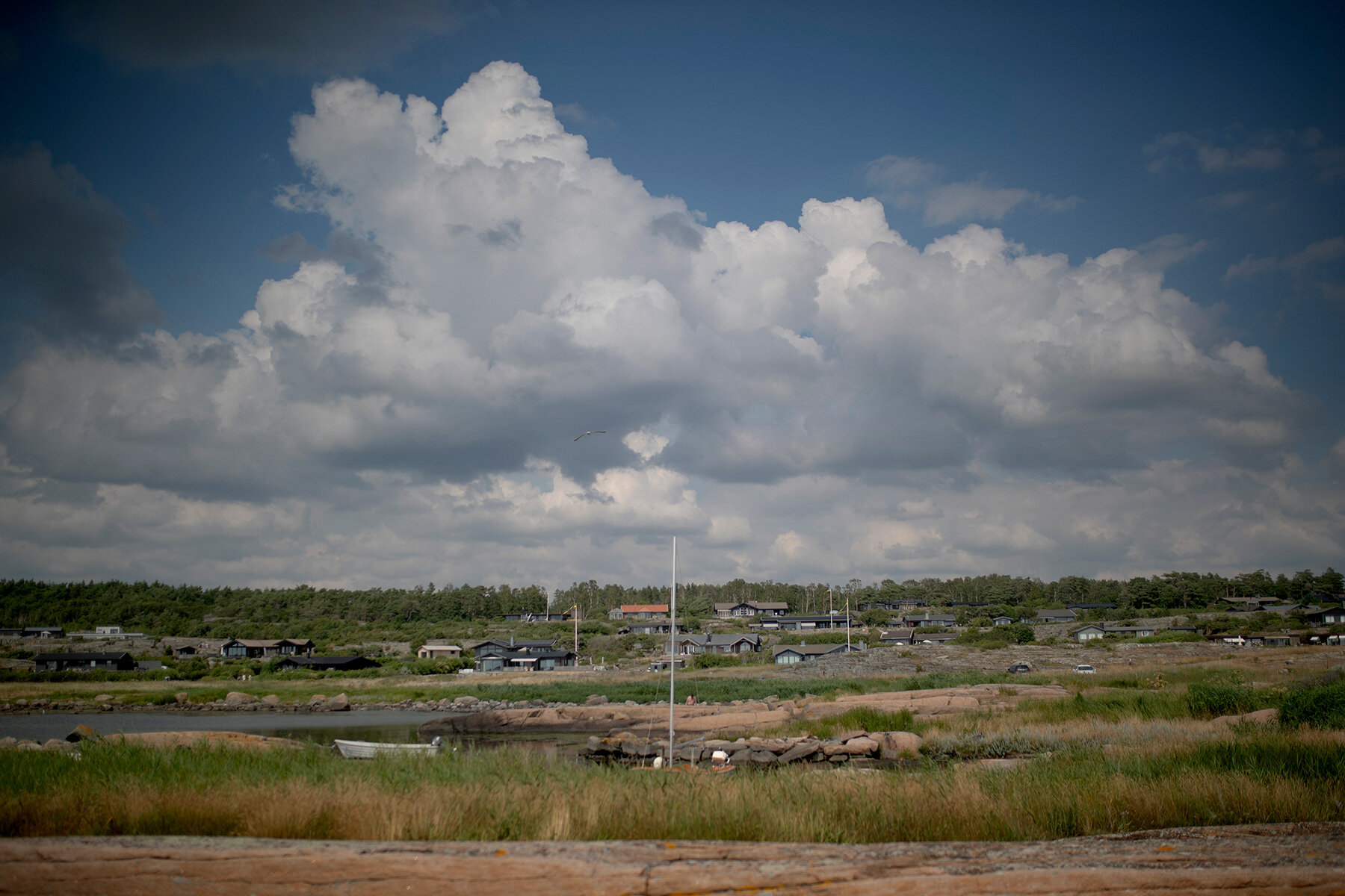 blogg-210713kosanna9.jpg