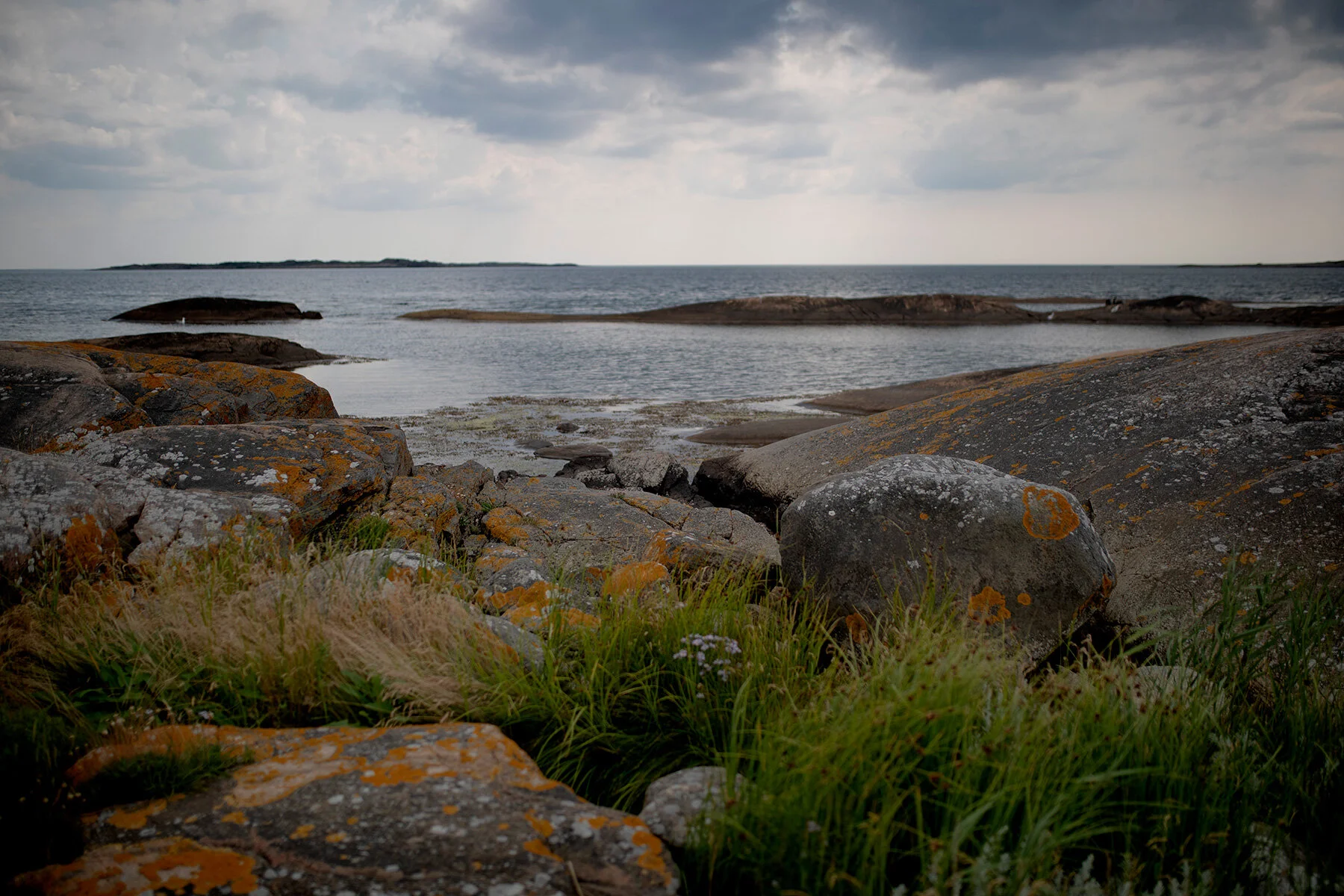 blogg-210713kosanna20.jpg