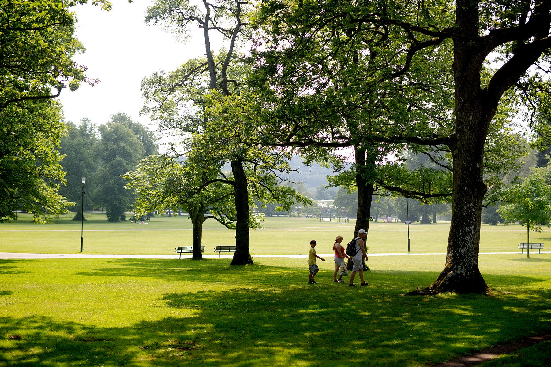 blogg-210714slottsskogen3.jpg