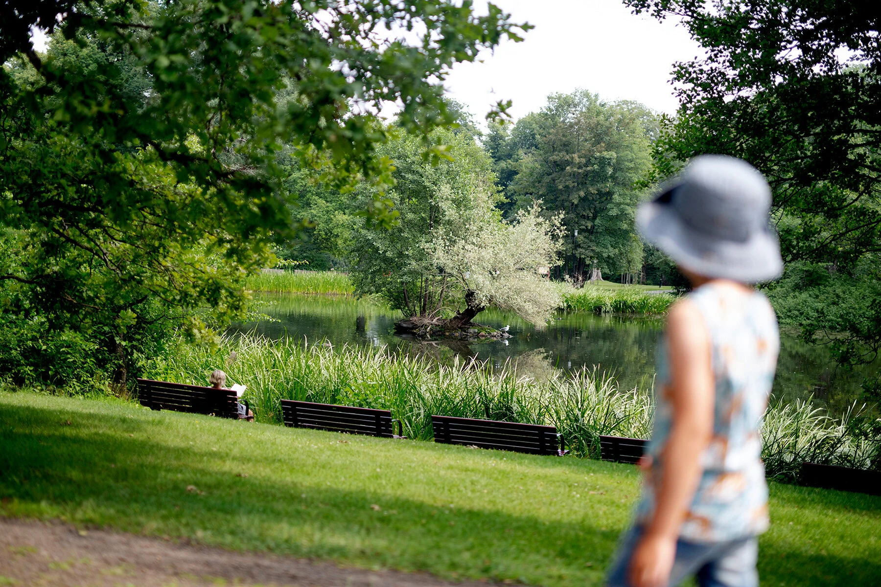 blogg-210714slottsskogen7.jpg