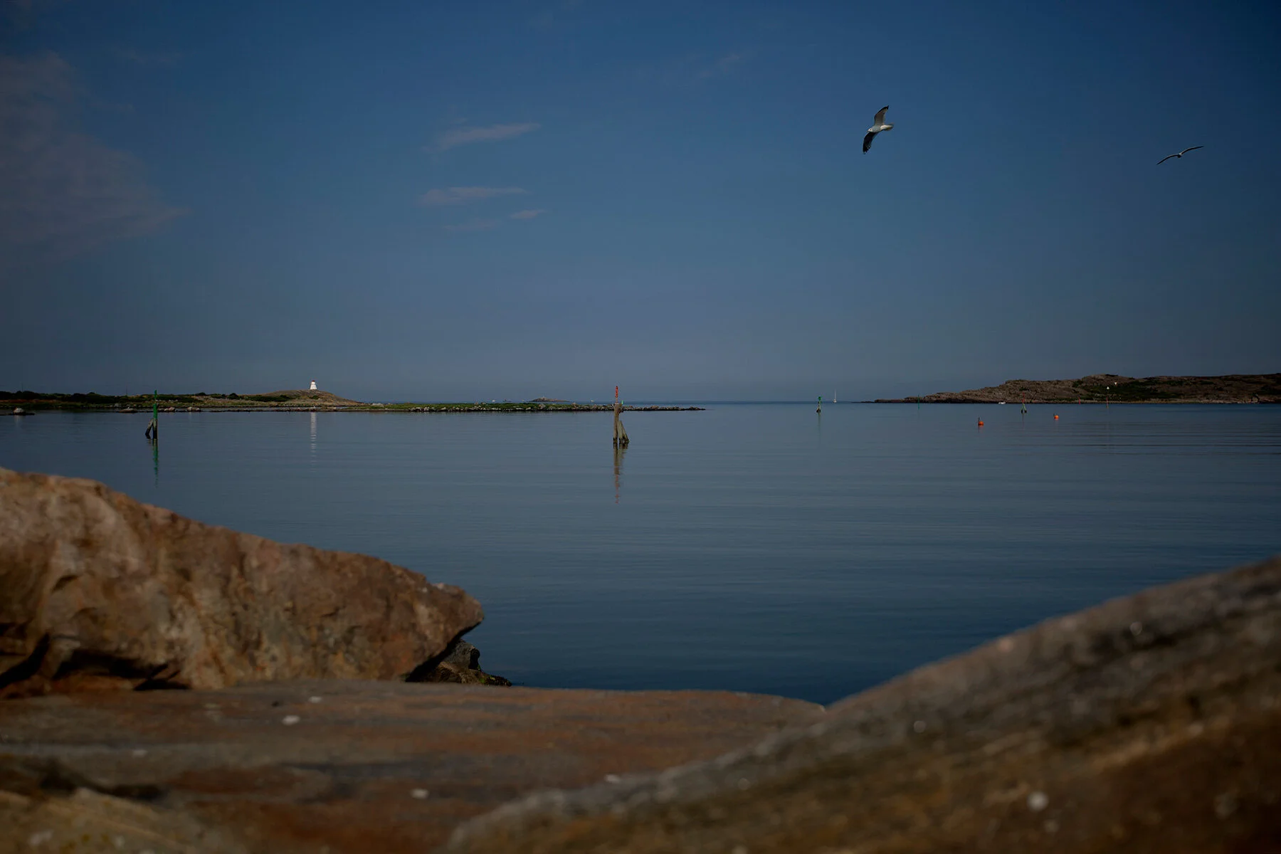 blogg-210716hamnmorgon9.jpg
