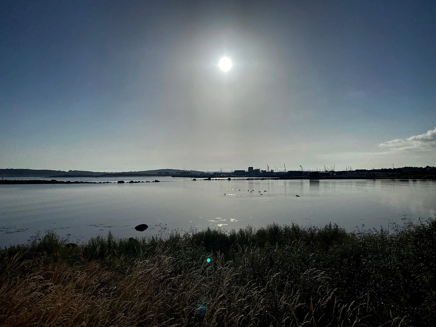 blogg-210717morgondoppfyren3.jpg