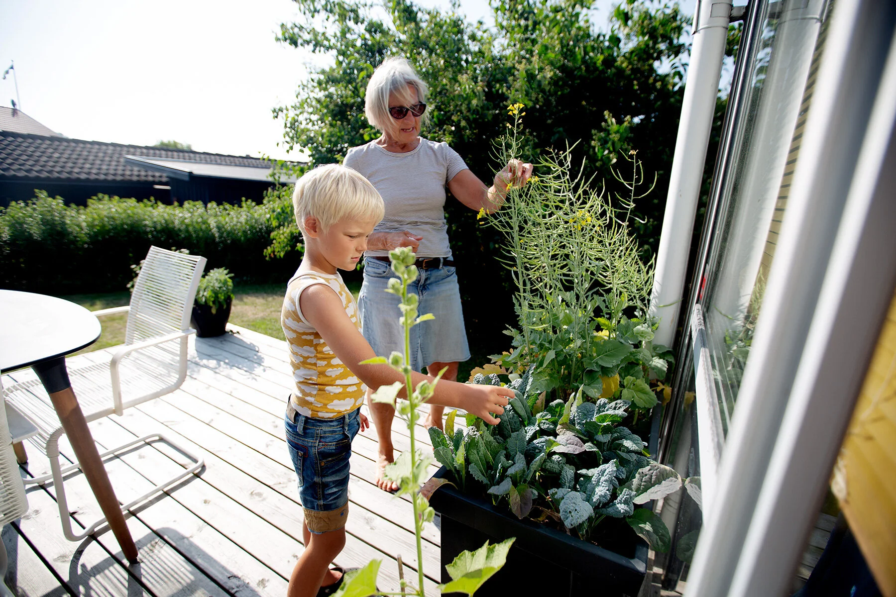 blogg-210717susannemiddag1.jpg