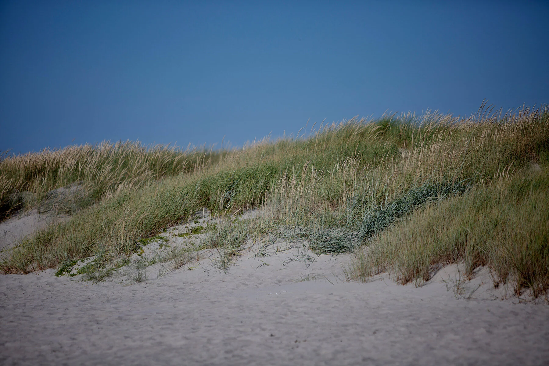 blogg-210722apelviken8.jpg