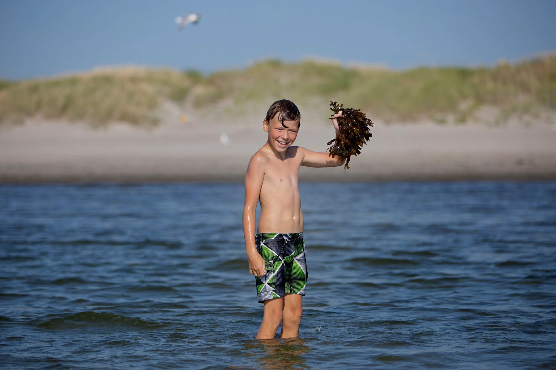 blogg-210722apelviken14.jpg