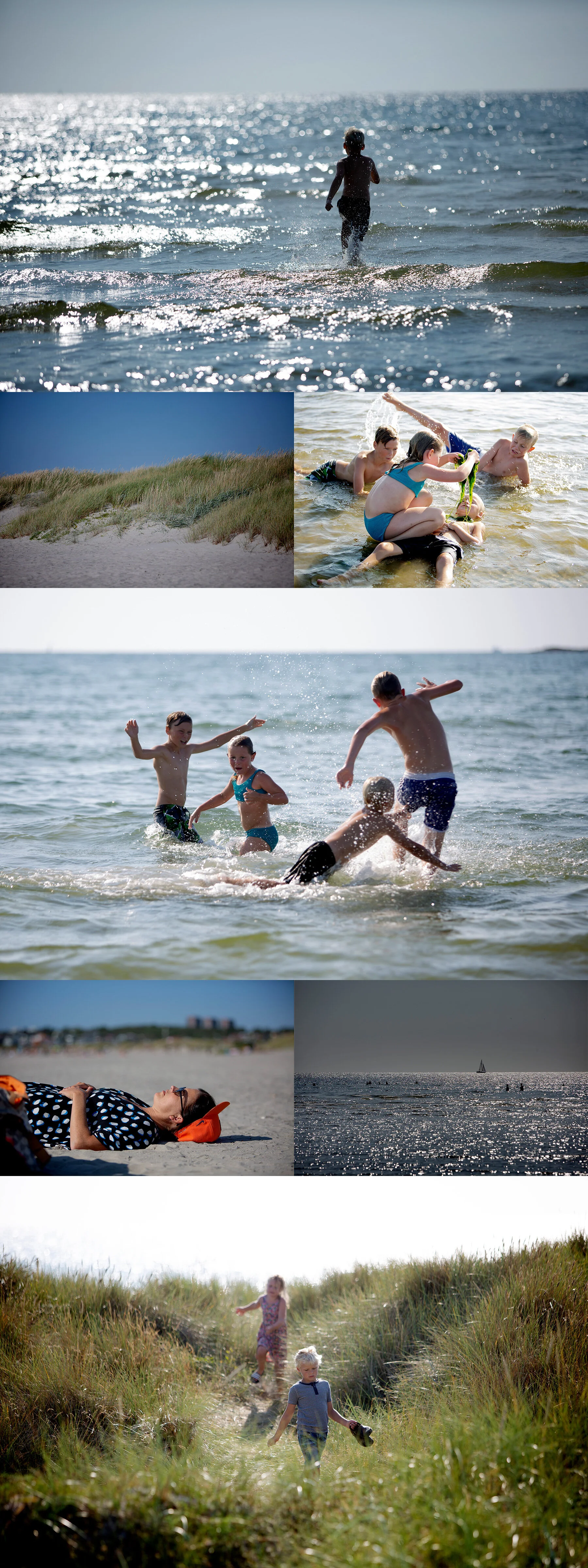Apelviken