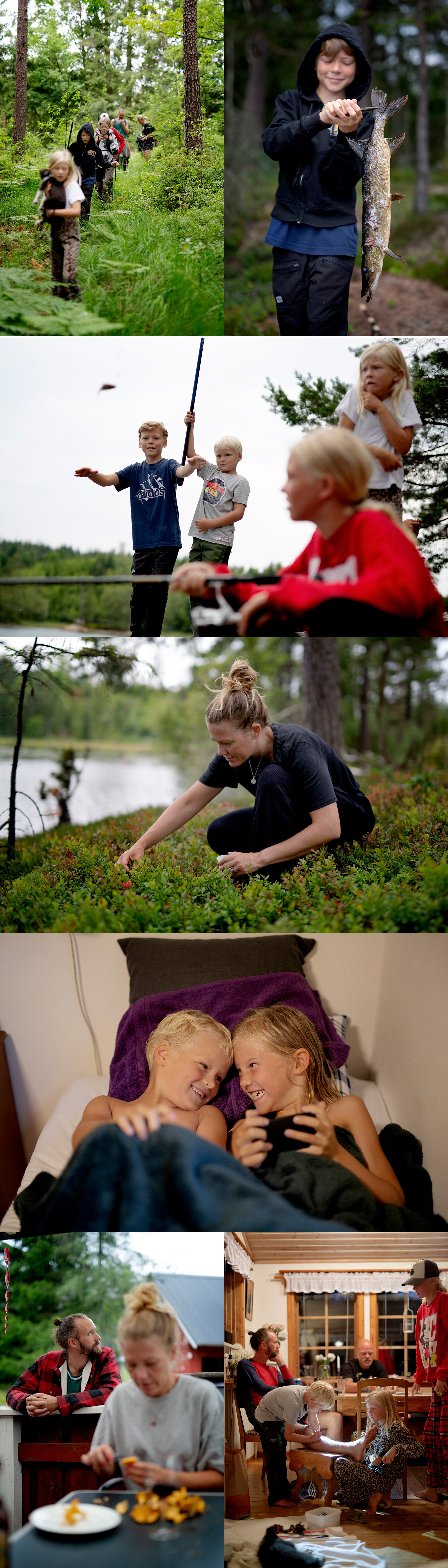 Åska och grodor i skogen