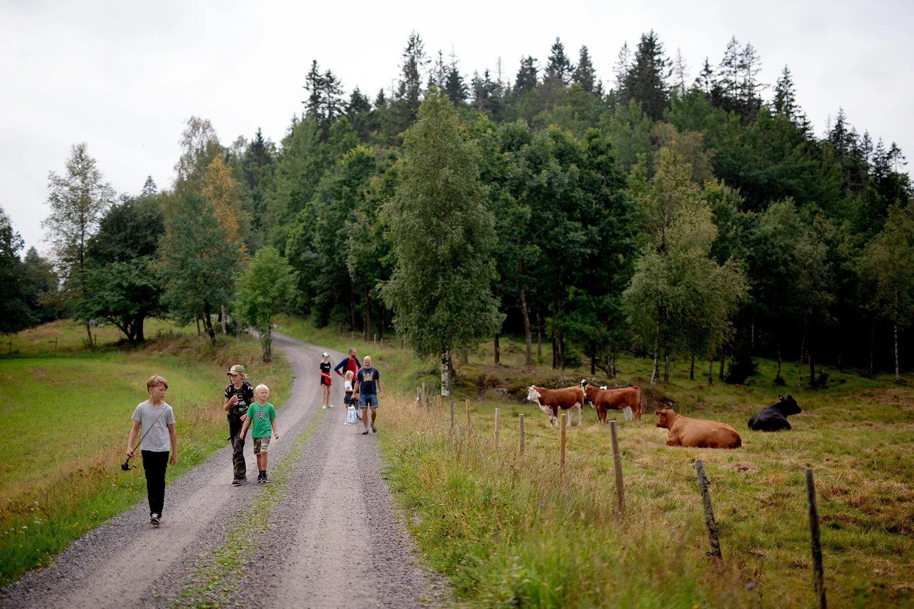 blogg-210727prasthulttisdag7.jpg
