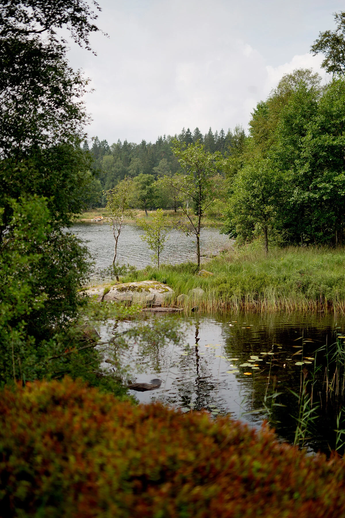 blogg-210727prasthulttisdag9.jpg