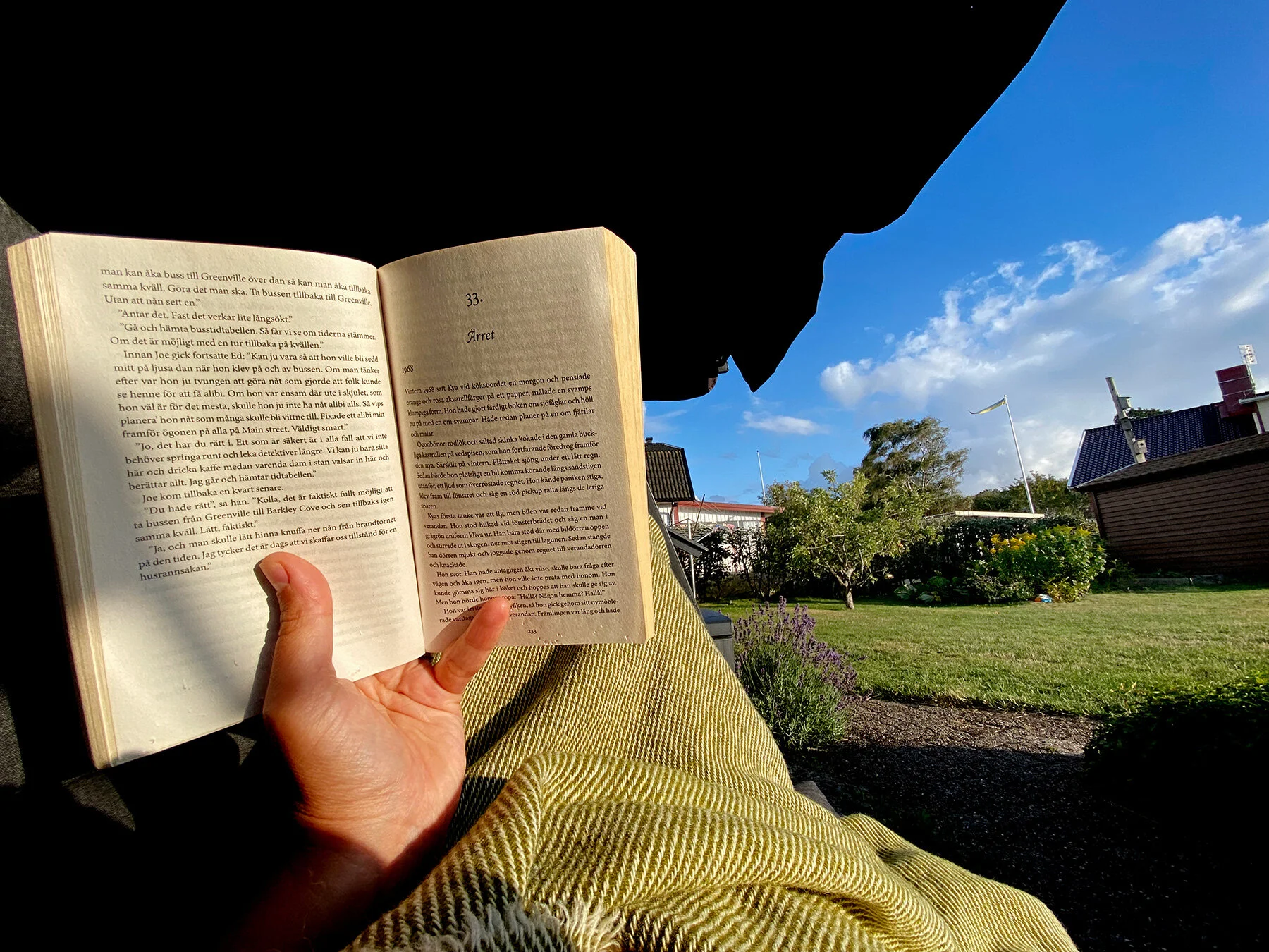 blogg-210801hammocklasning2.jpg