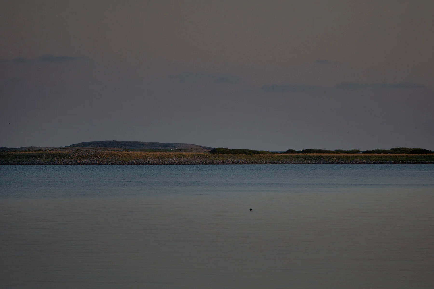 blogg-210804vendelso30.jpg
