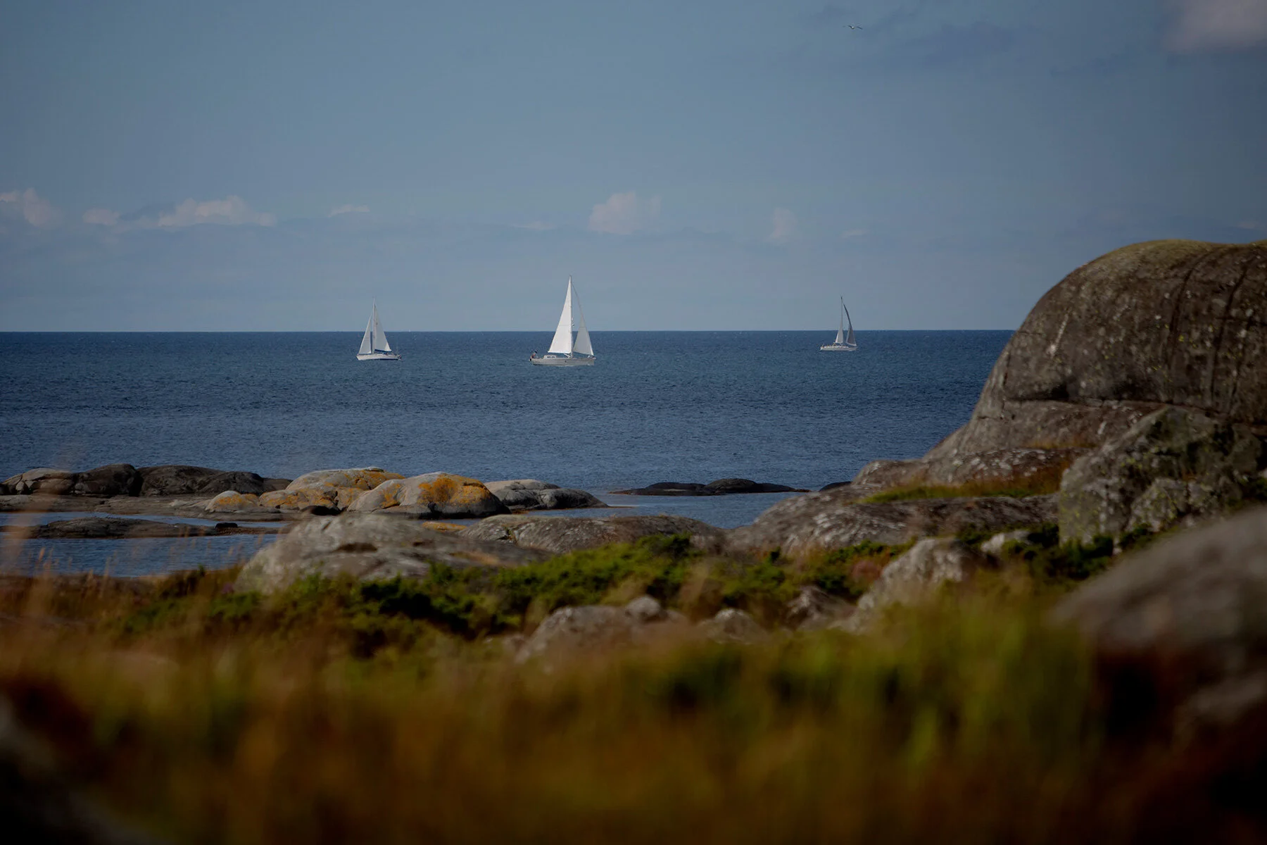 blogg-210806lillaockeromorgon3.jpg