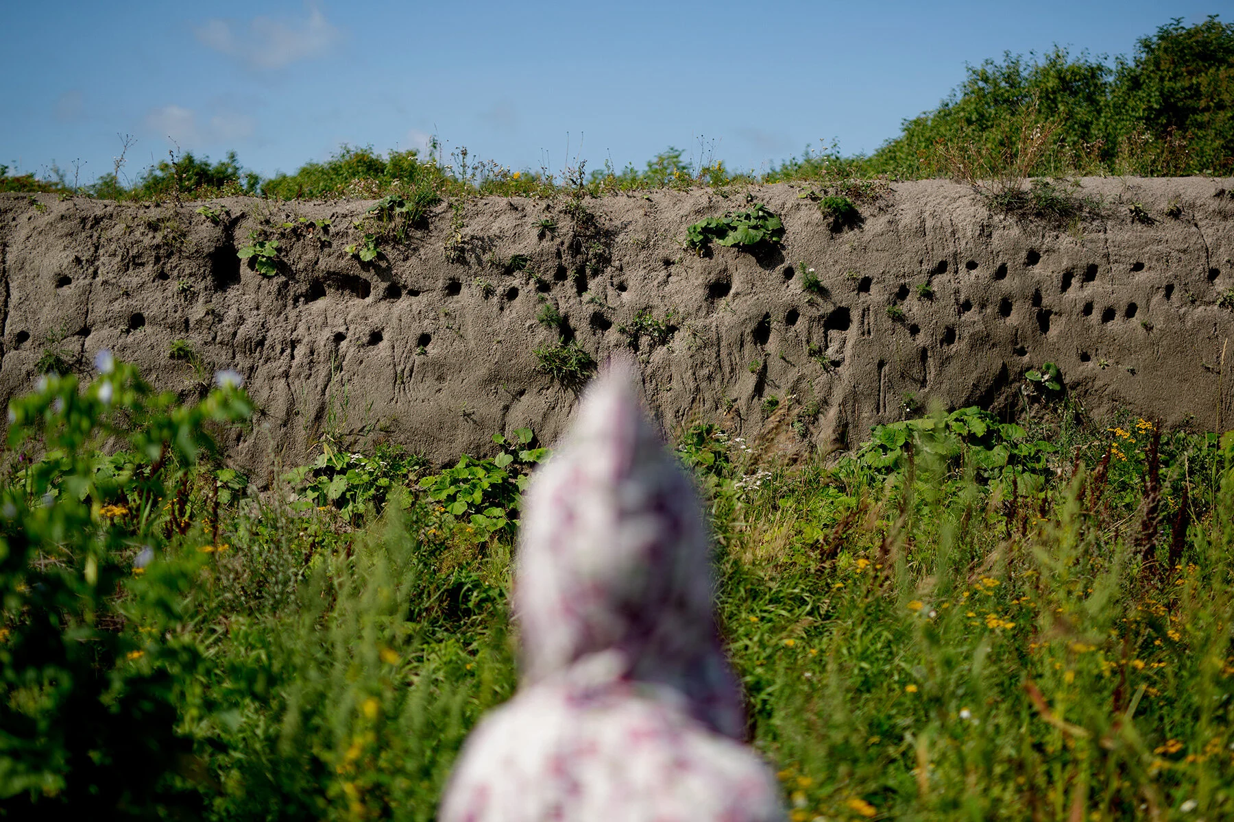 blogg-210811naturumgetteron1.jpg