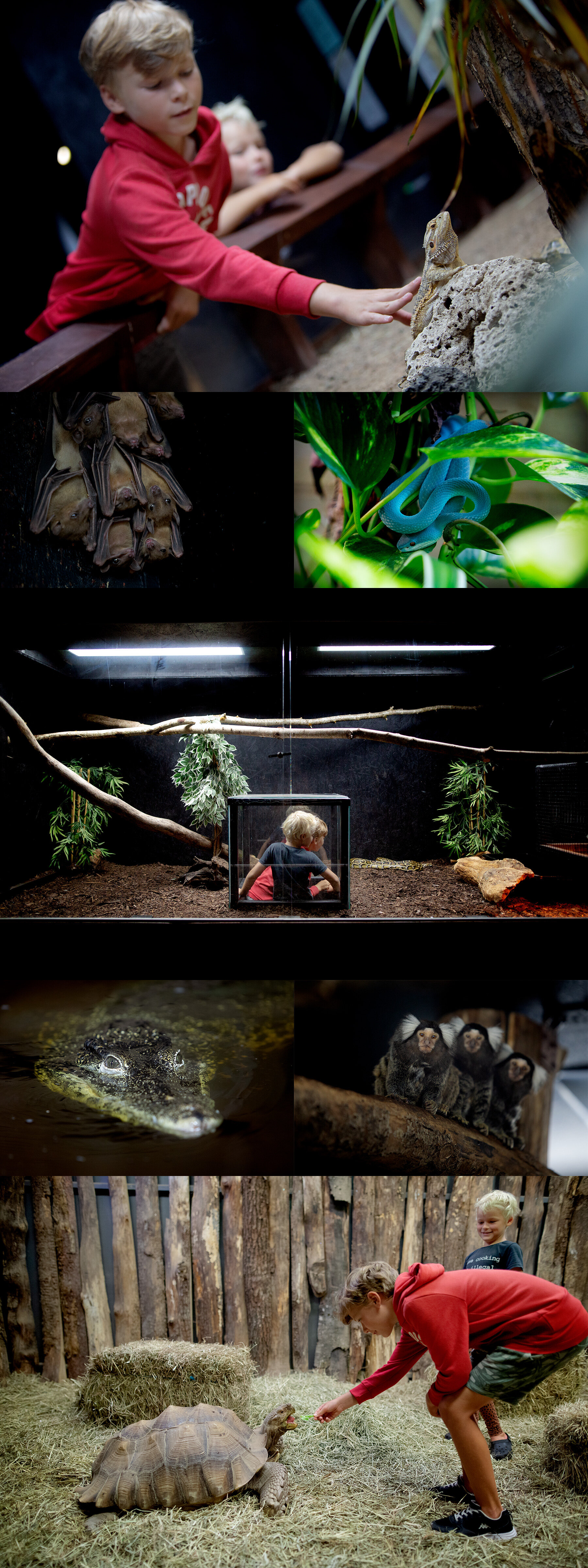 Varbergs Tropikarium