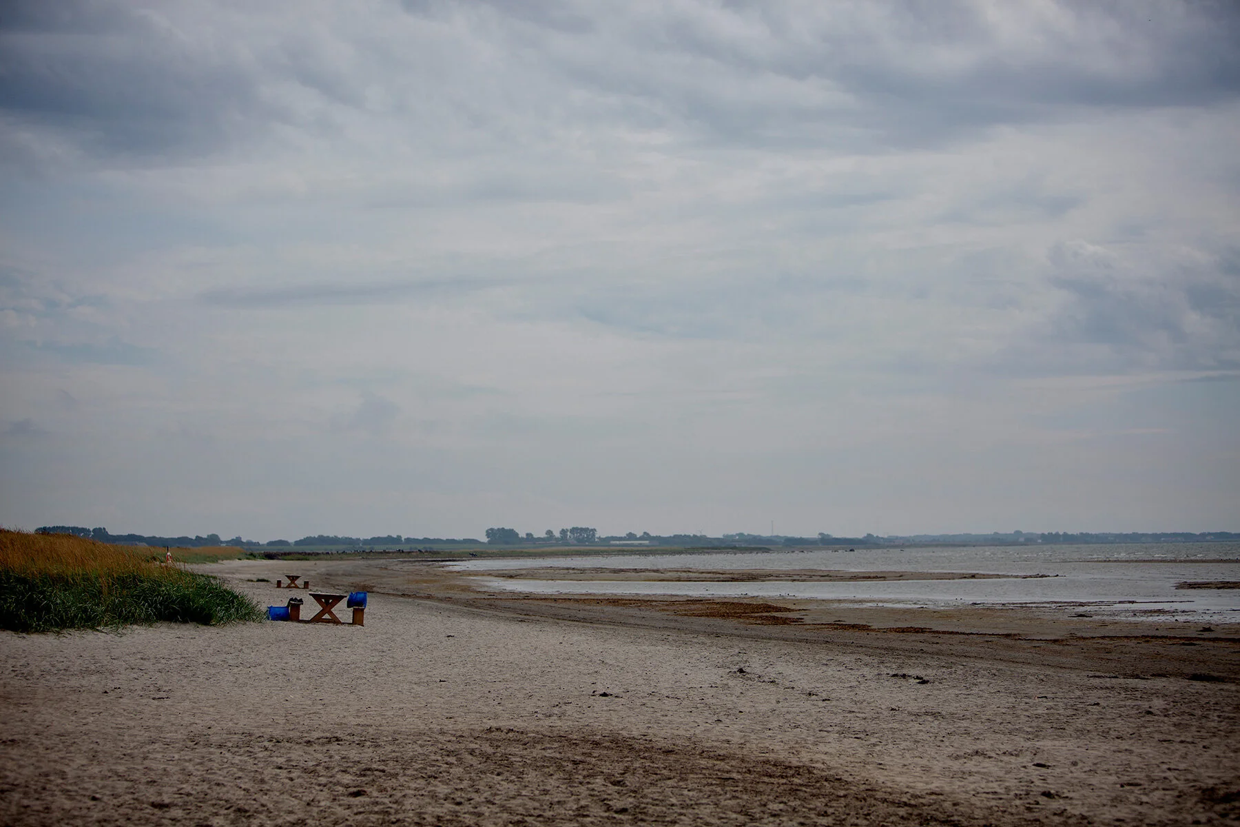 blogg-210813bjorkang9.jpg