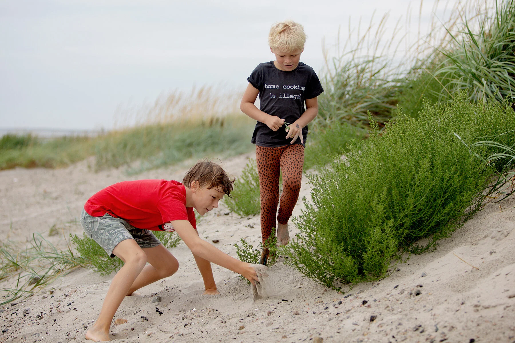 blogg-210813bjorkang13.jpg