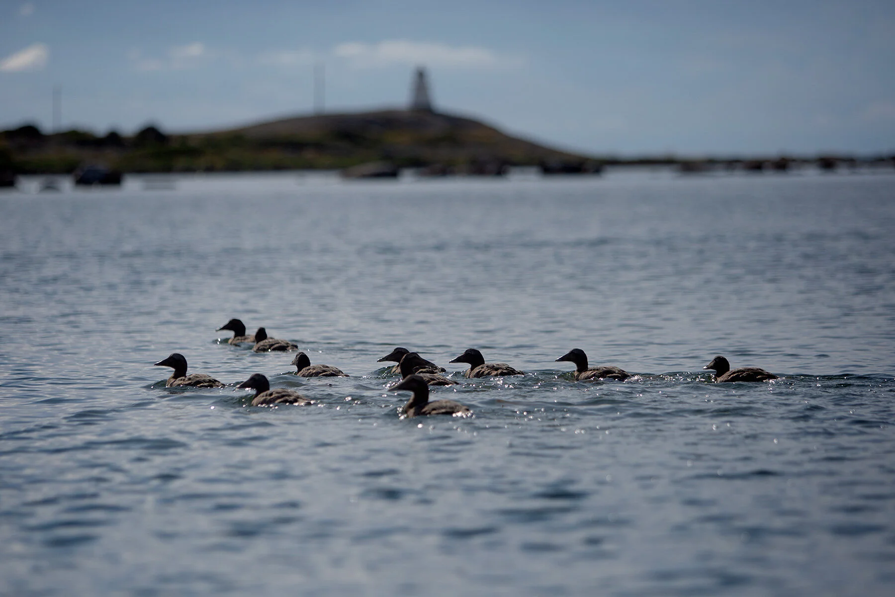 blogg-210816fiskahavet4.jpg