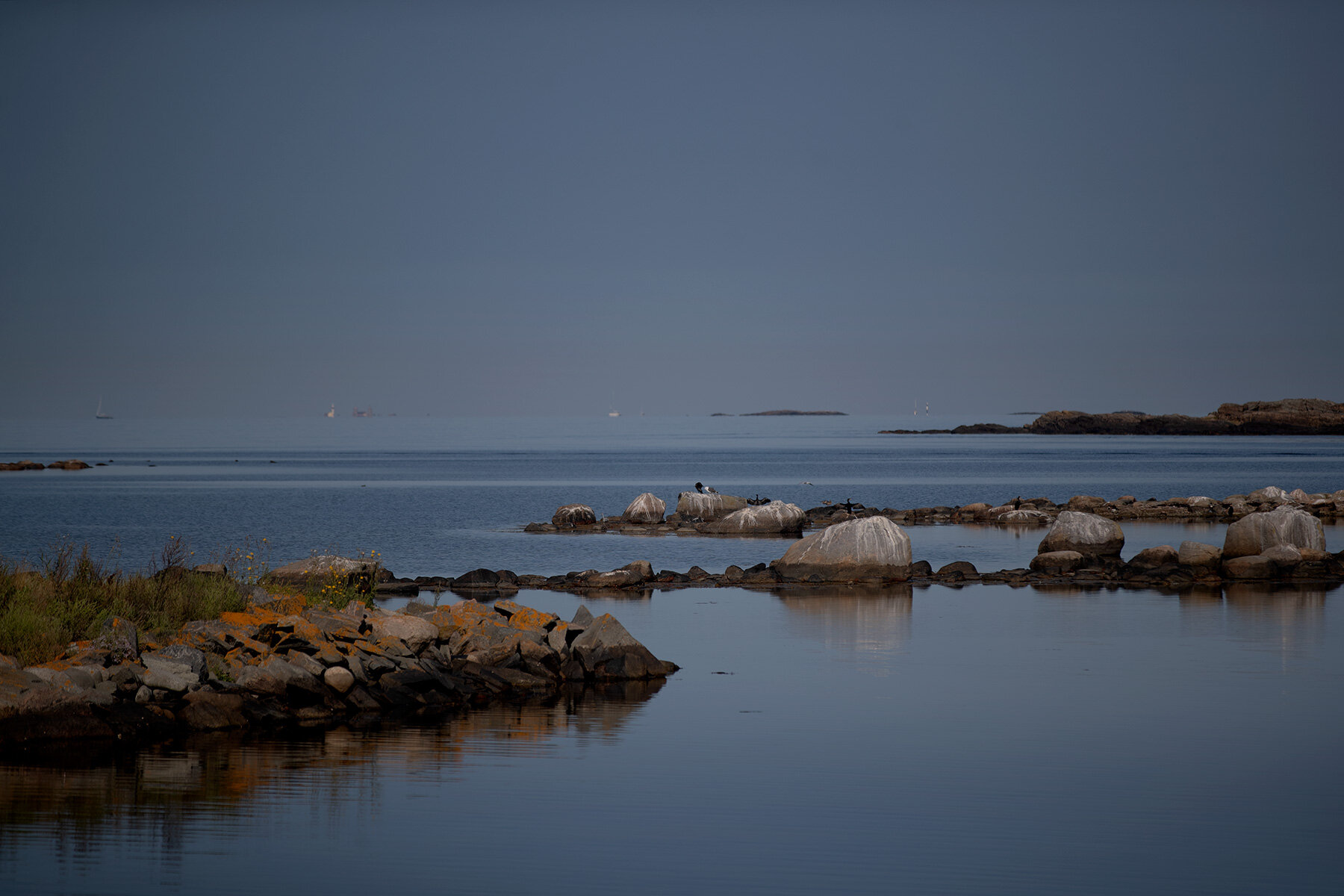 blogg-210824morgonvidbastun5.jpg
