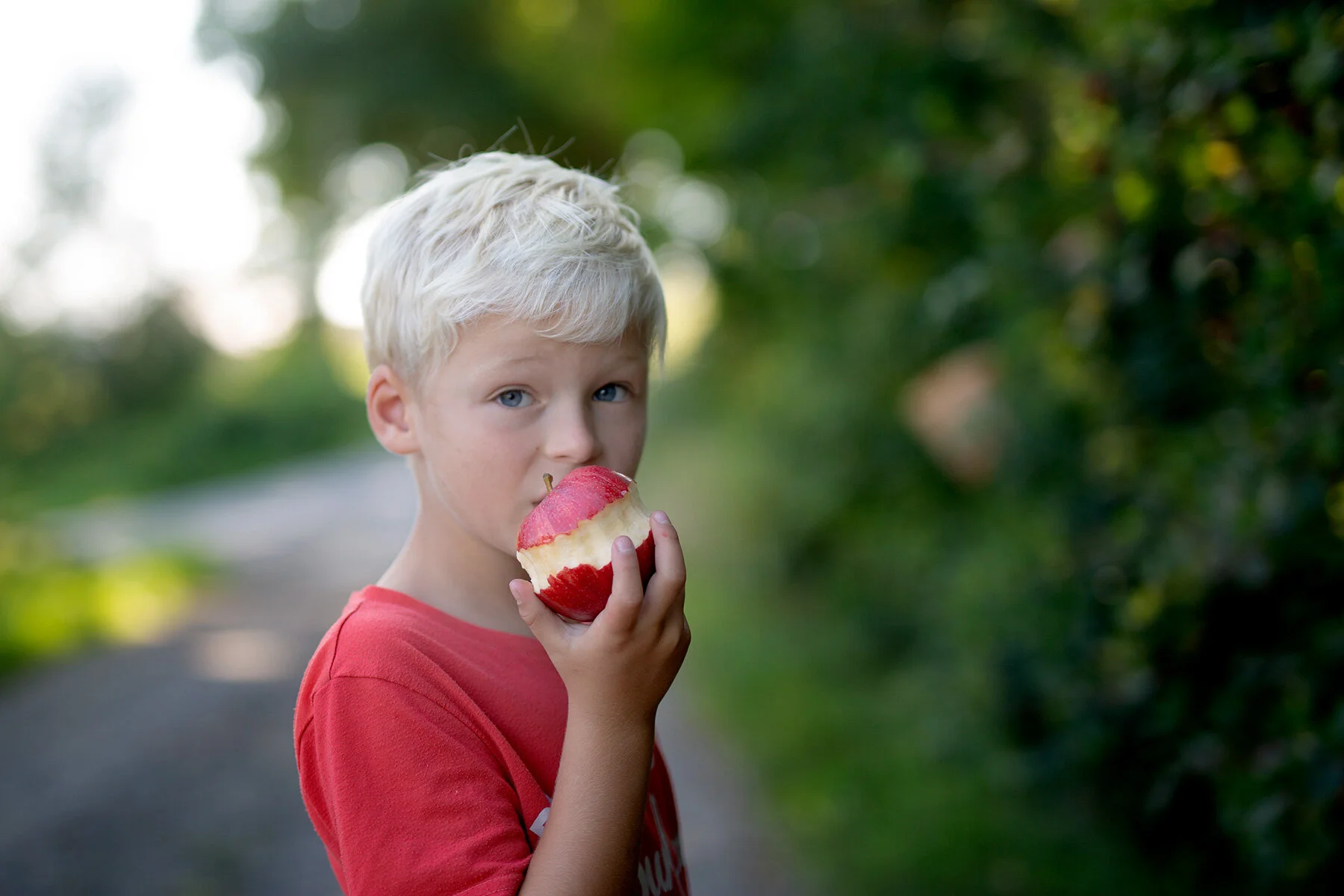 blogg-210931svampskogfarmor2.jpg