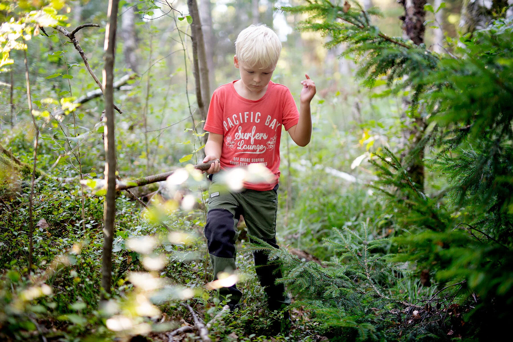 blogg-210931svampskogfarmor9.jpg