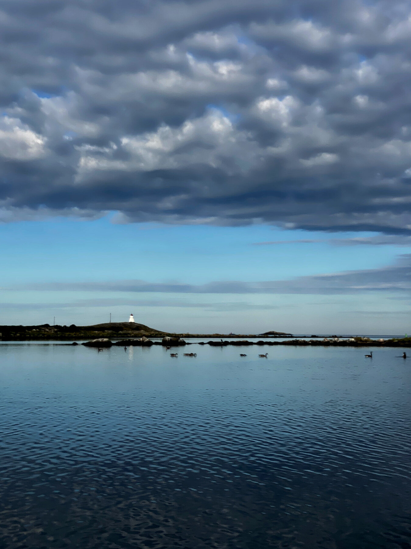 blogg-210901supmorgon3.jpg