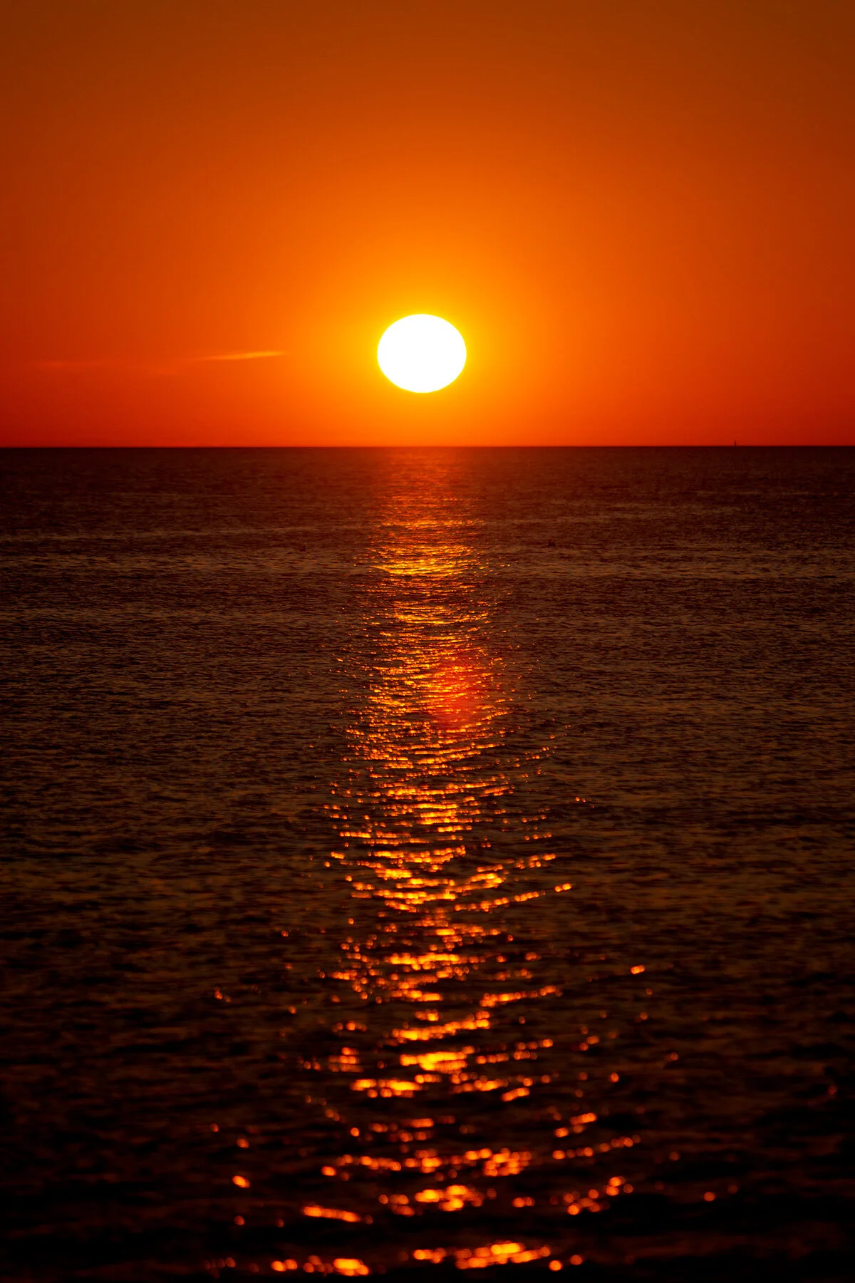 blogg-210903hamnkvall29.jpg