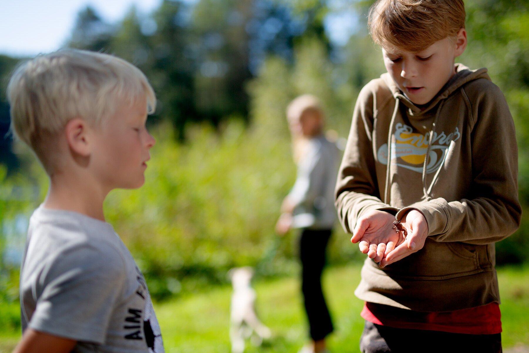blogg-210904helsjon3.jpg