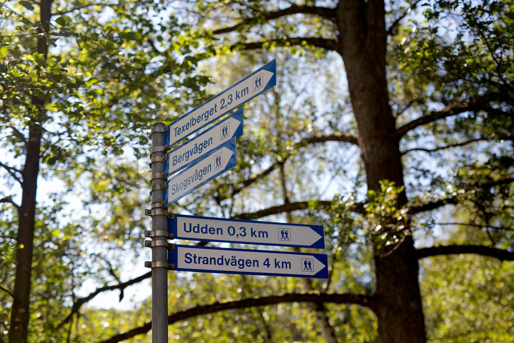 blogg-210904helsjon4.jpg