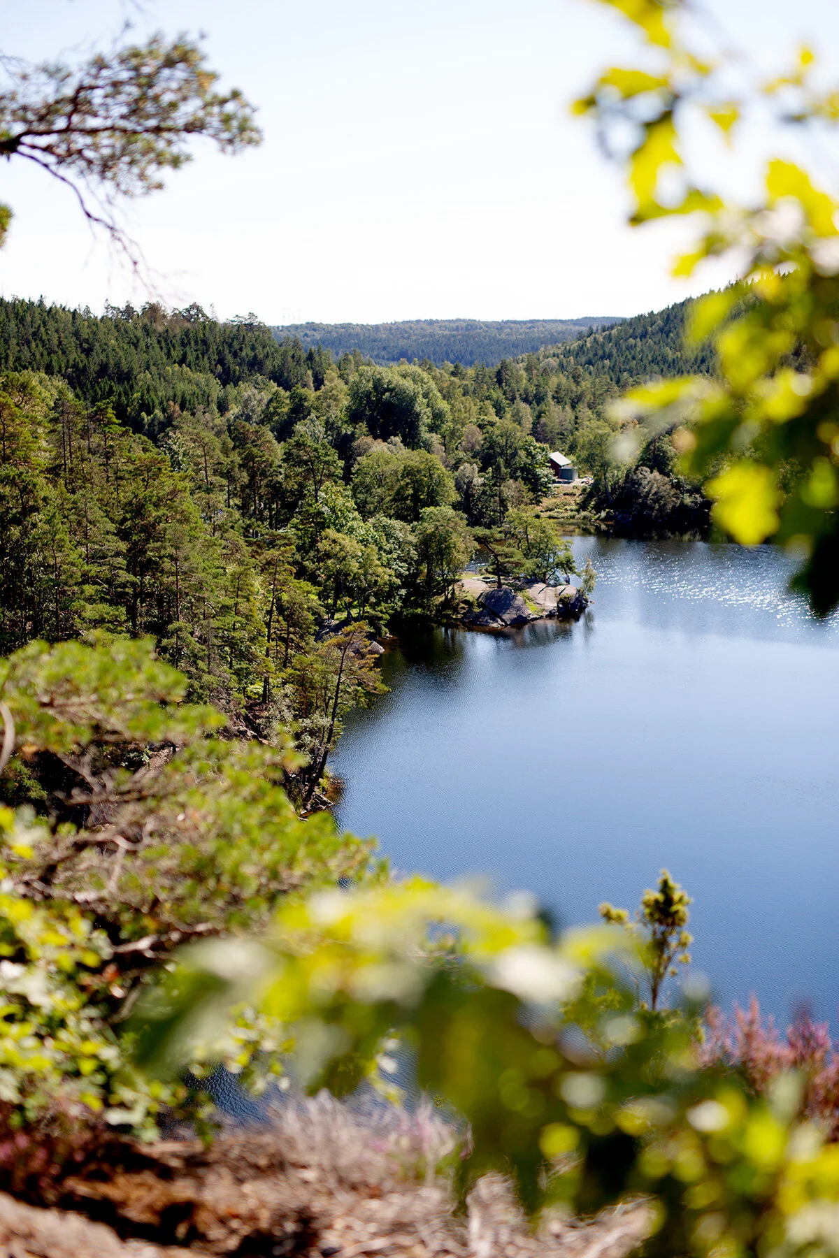 blogg-210904helsjon10.jpg