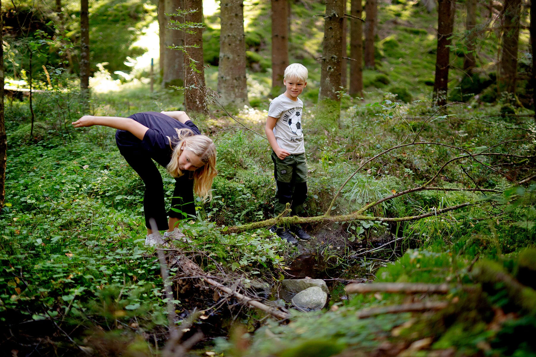 blogg-210904helsjon13.jpg