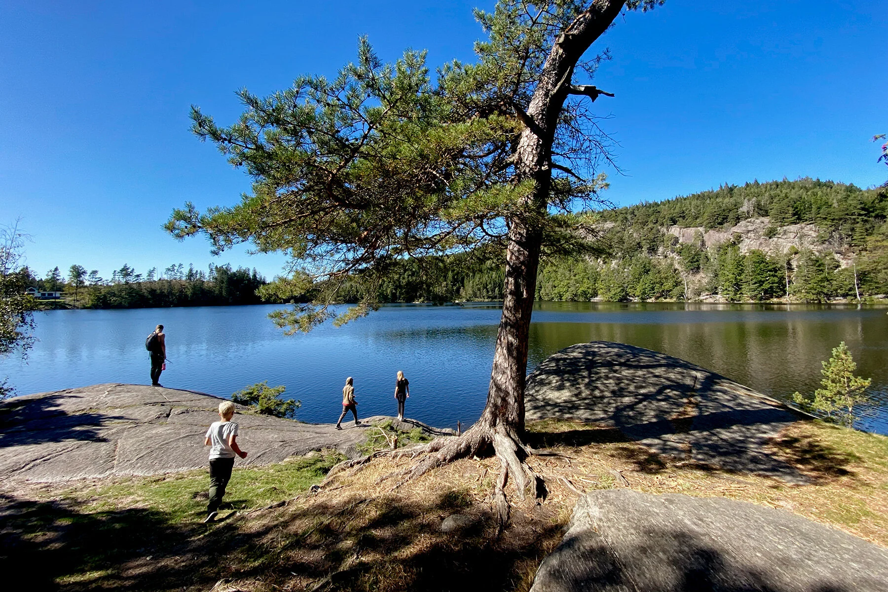 blogg-210904helsjon20.jpg