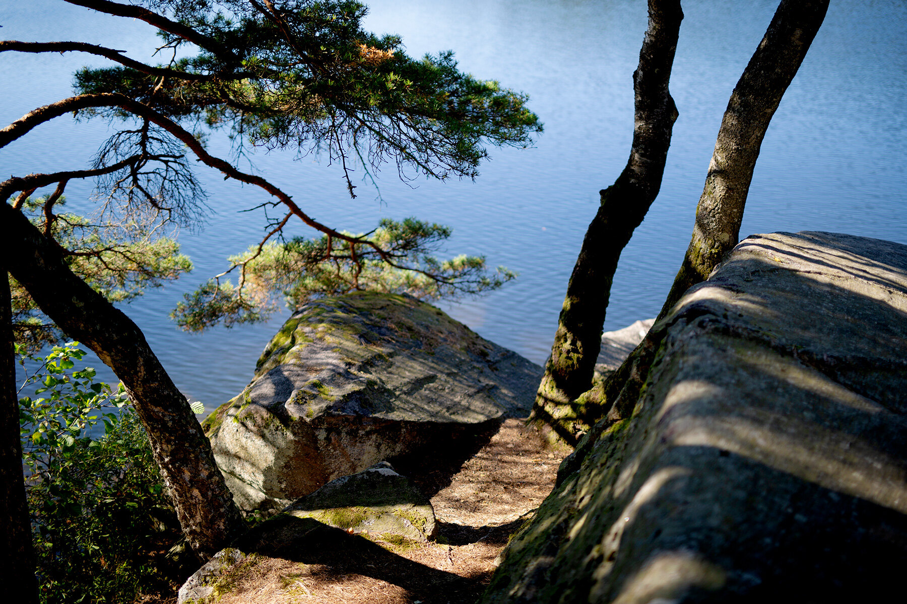 blogg-210904helsjon25.jpg