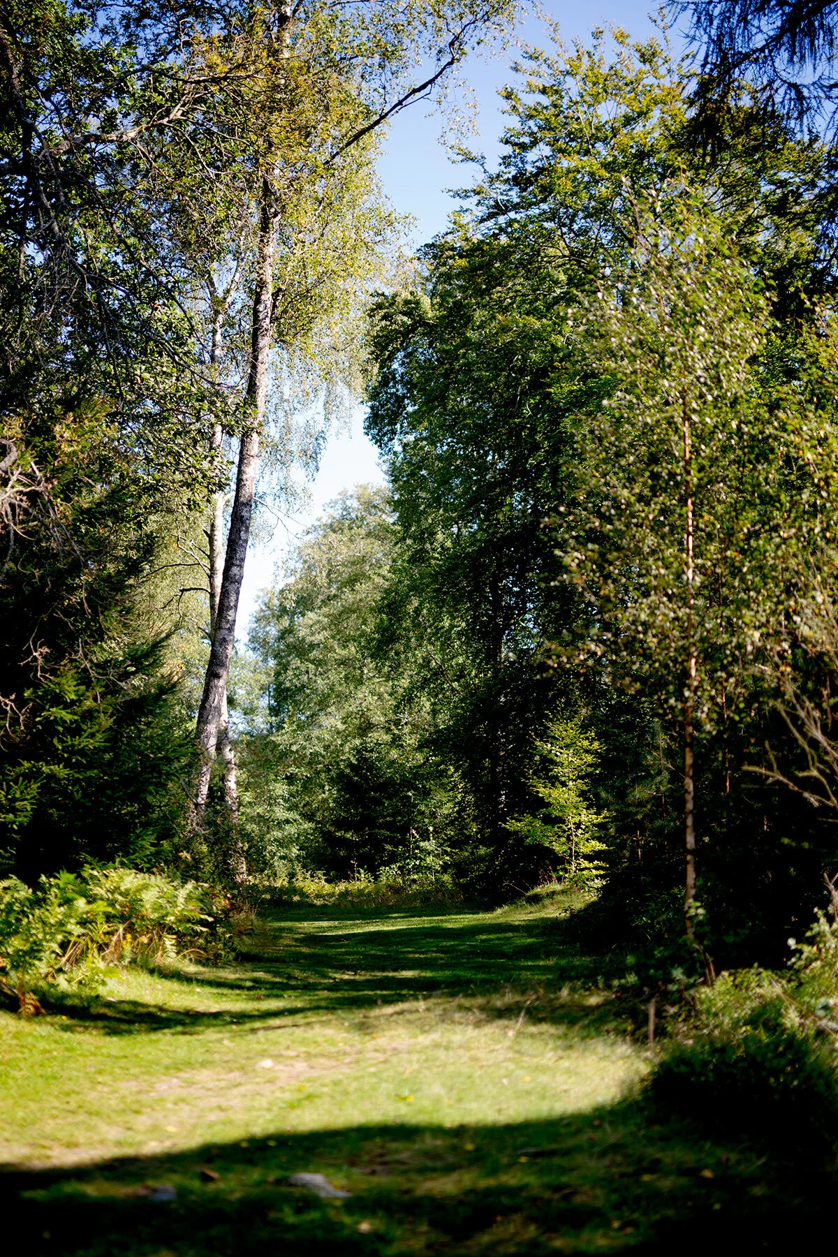 blogg-210904helsjon31.jpg