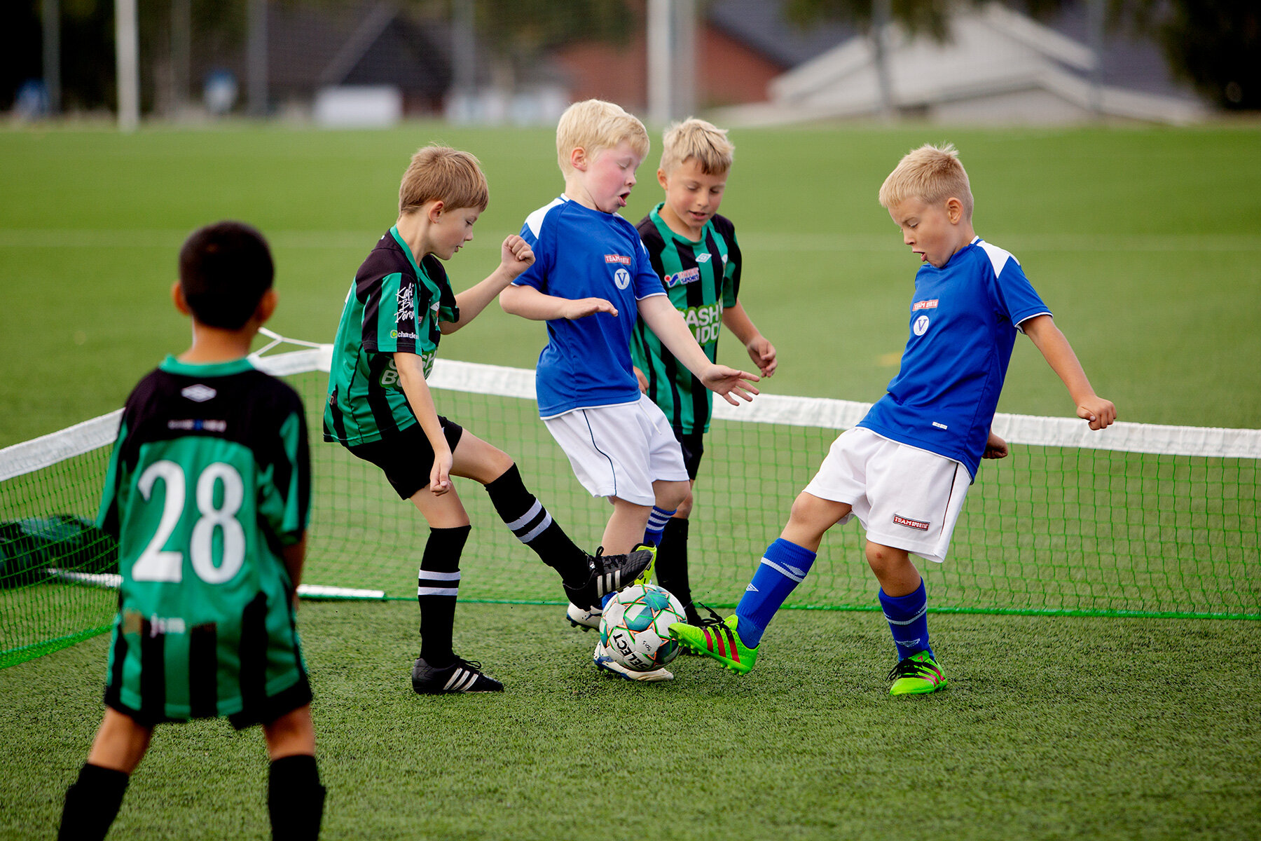 blogg-210905bertilpoolspelbois2.jpg