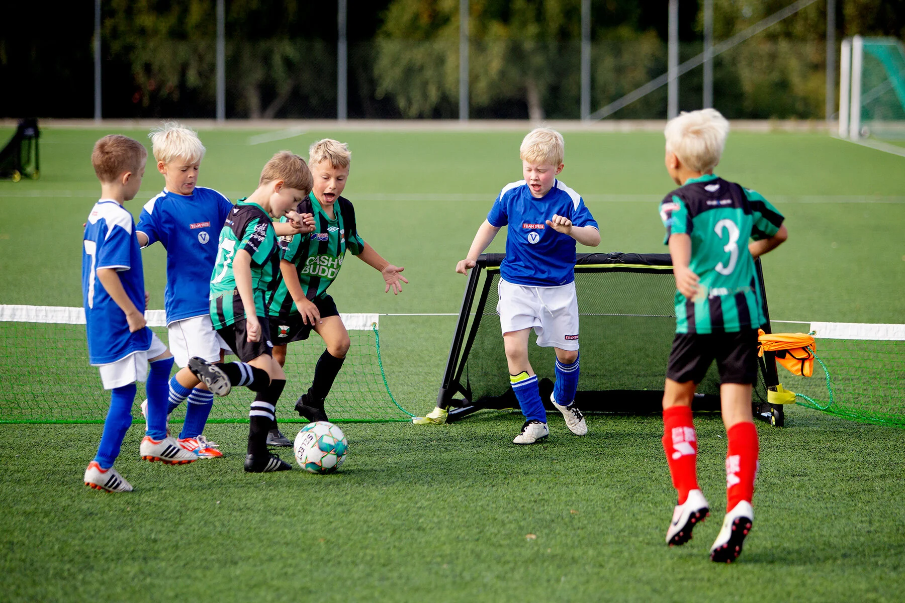 blogg-210905bertilpoolspelbois6.jpg