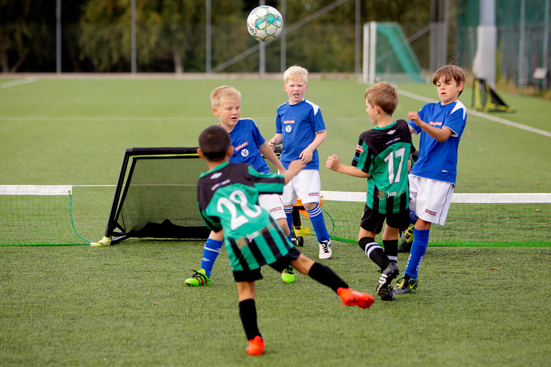 blogg-210905bertilpoolspelbois8.jpg